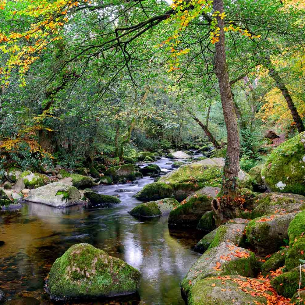 A beautiful stream running through Dartmoor National Park in Devon, just a 40 minute drive north of Flear will take you to the heart of this vast moorland.
