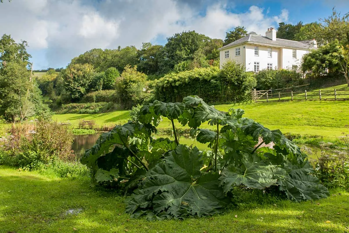 Flear_Sept2015_025web.jpg