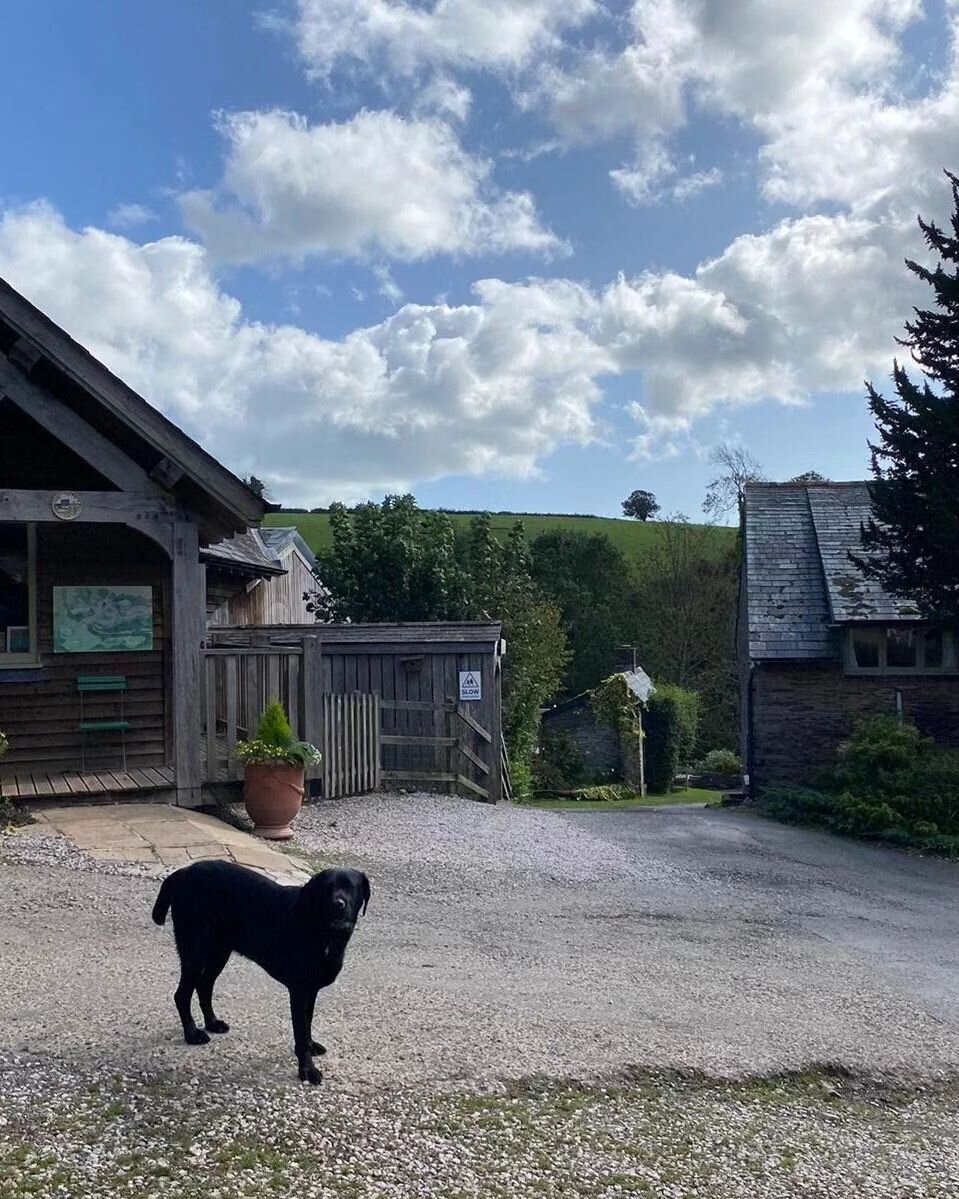 🐕
Flear Farm is Dog-Friendly primarily because we are Family-Friendly and for us, dogs are part of the family.
Book your family break - website 🔗 in bio
#southhams #familybreaks #dogfriendlybreaks #dogswelcome
@premiercottages @aaratedtrips @tinytr