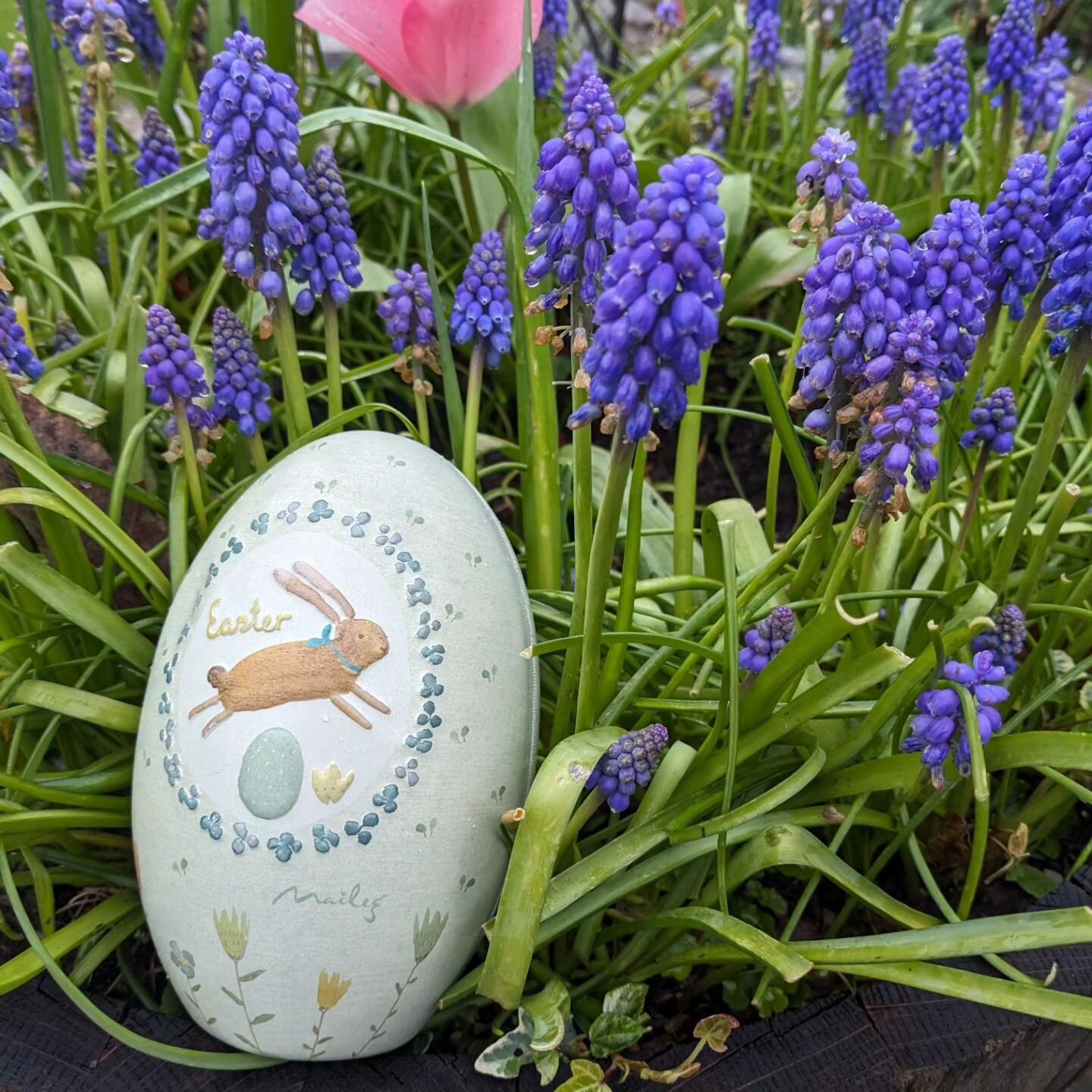 🐰🐣
H A P P Y&nbsp; E A S T E R
Have a good Good Friday 🐰🐣

Booking website 🔗 in bio
#southhams #ruralbreaks #Easter #Easterbreaks&nbsp; #egghunt&nbsp;
@premiercottages @aaratedtrips @tinytravelship @visitsouthdevon