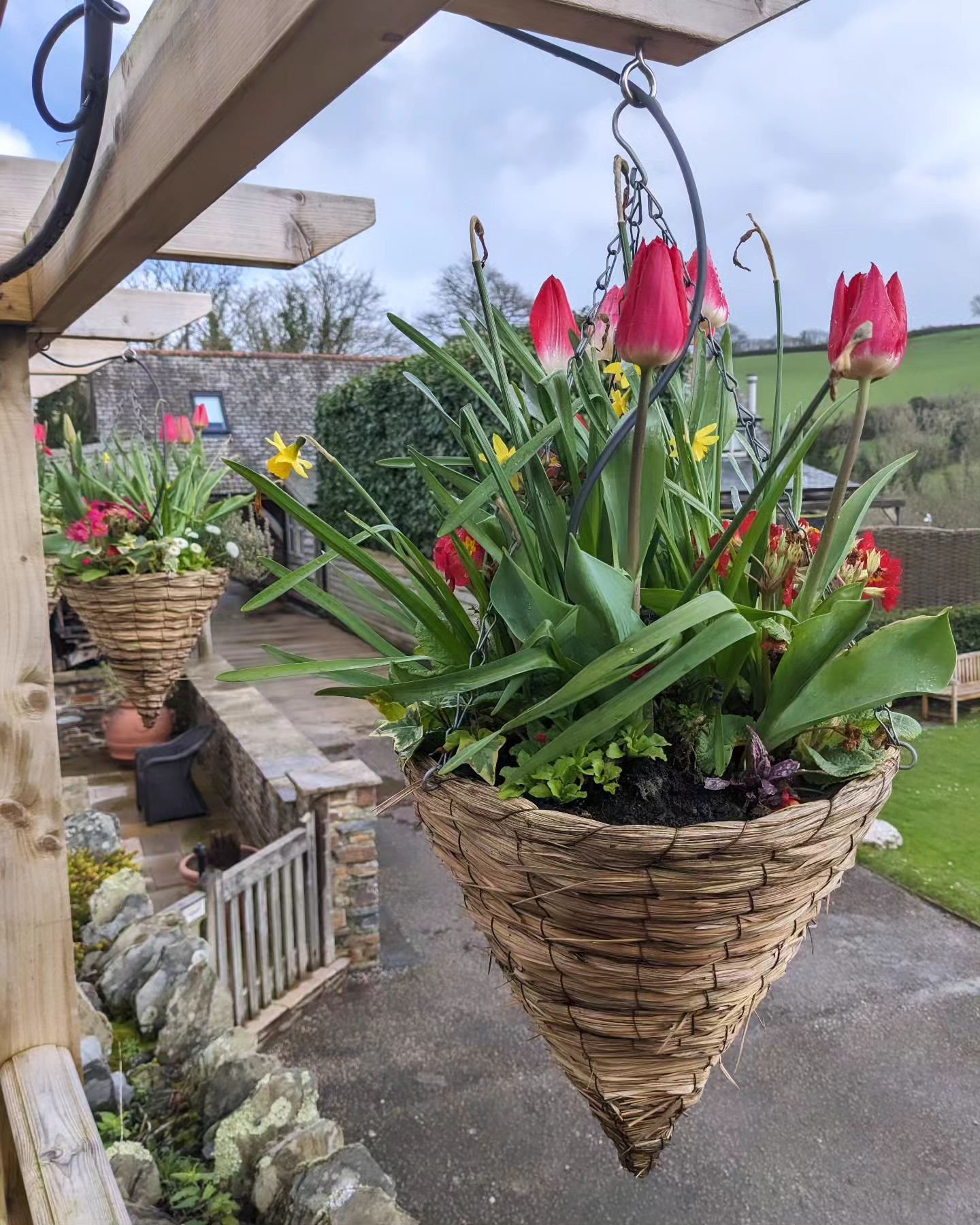🌷
Spring has sprung at Flear Farm Cottages for your 2024 holiday destination!
Booking website 🔗 in bio

#southhams #ruralbreaks #Spring2024 #Springbreaks&nbsp; #tulipsofinstagram 
@premiercottages @aaratedtrips @tinytravelship @visitsouthdevon