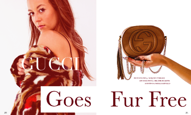 Screen Shot 2019-04-29 at 10.44.13 AM.png