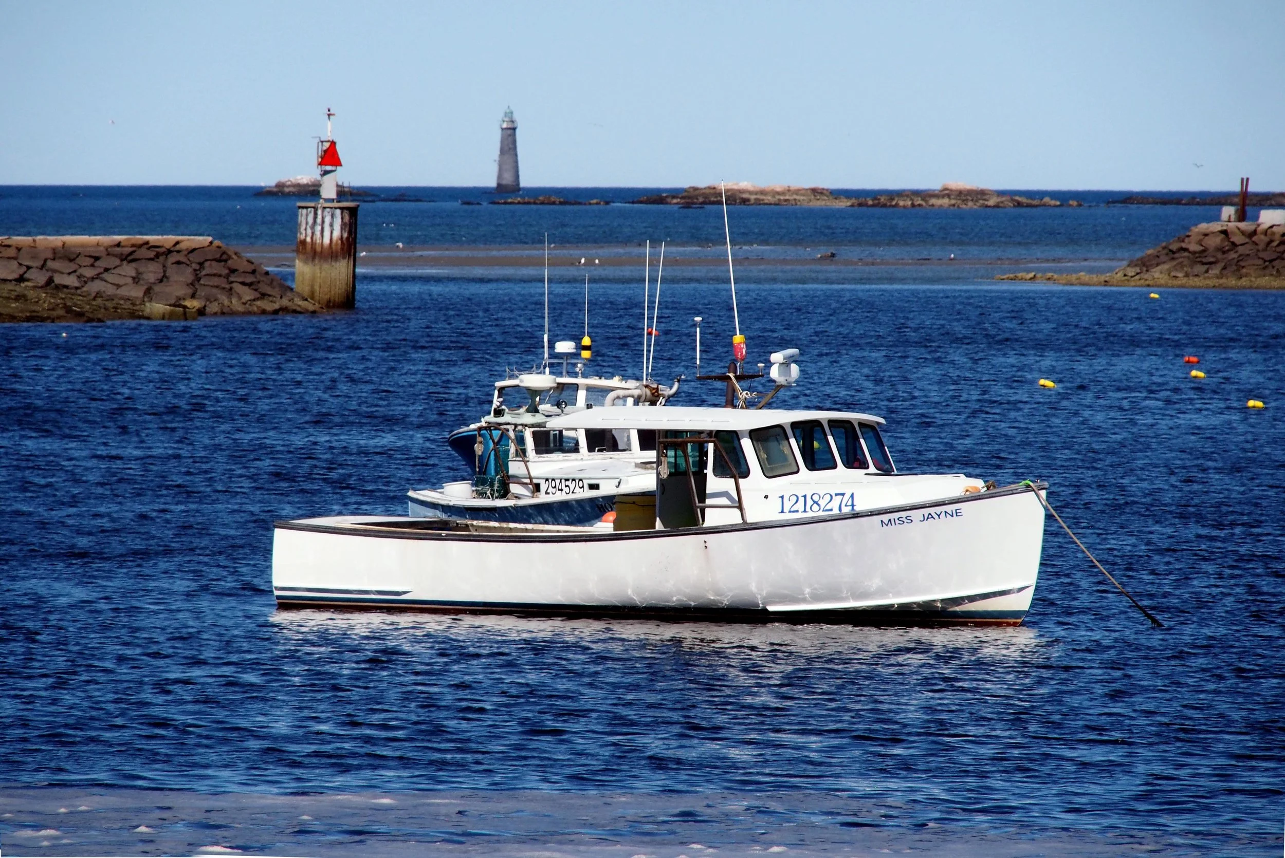 P4173255.jpg