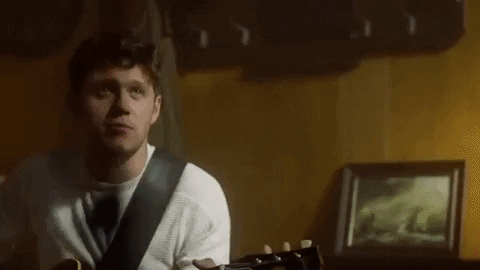 Niall Horan 'Too Much To Ask'