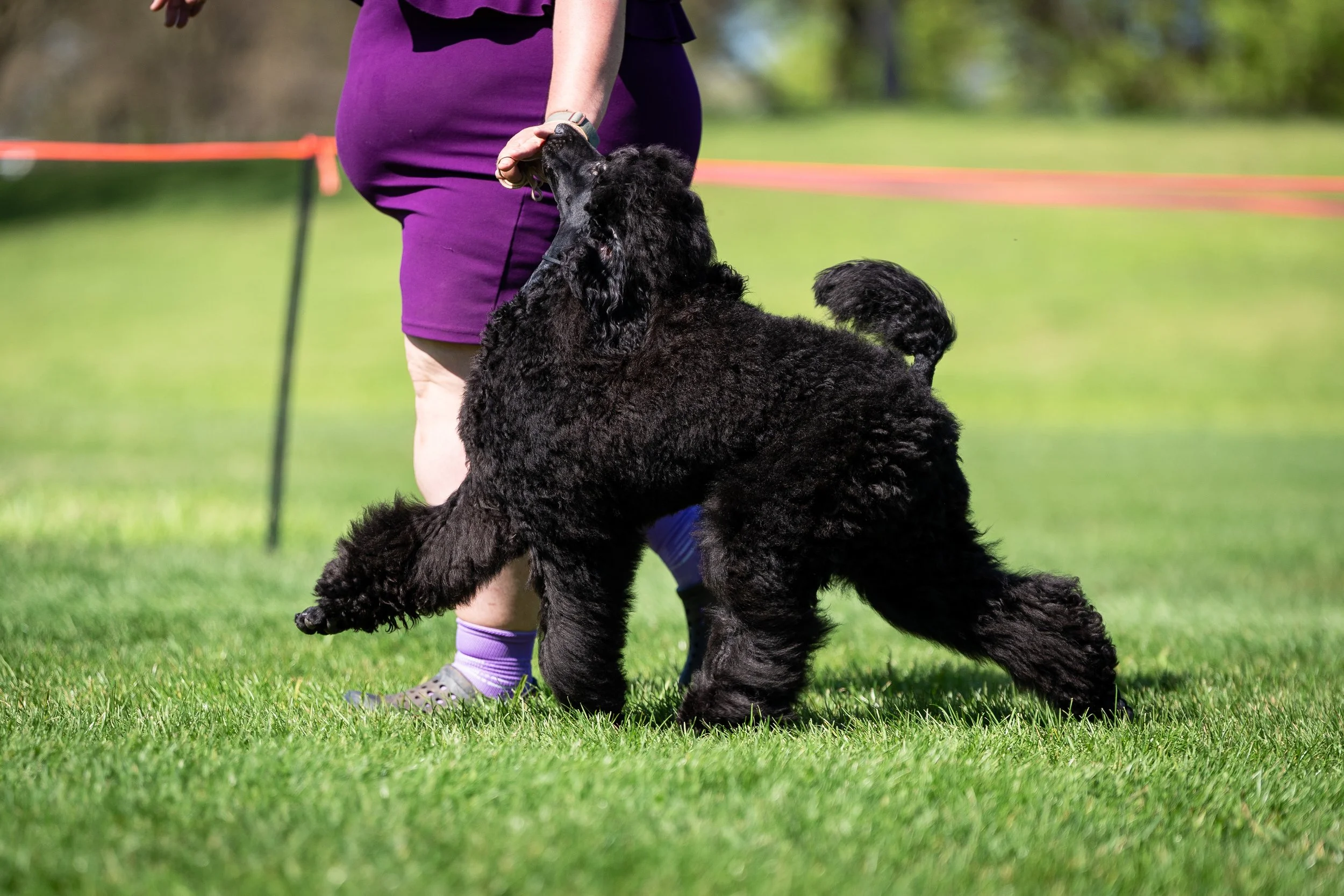 MAR8_GCH&H_UKC-2047.jpg