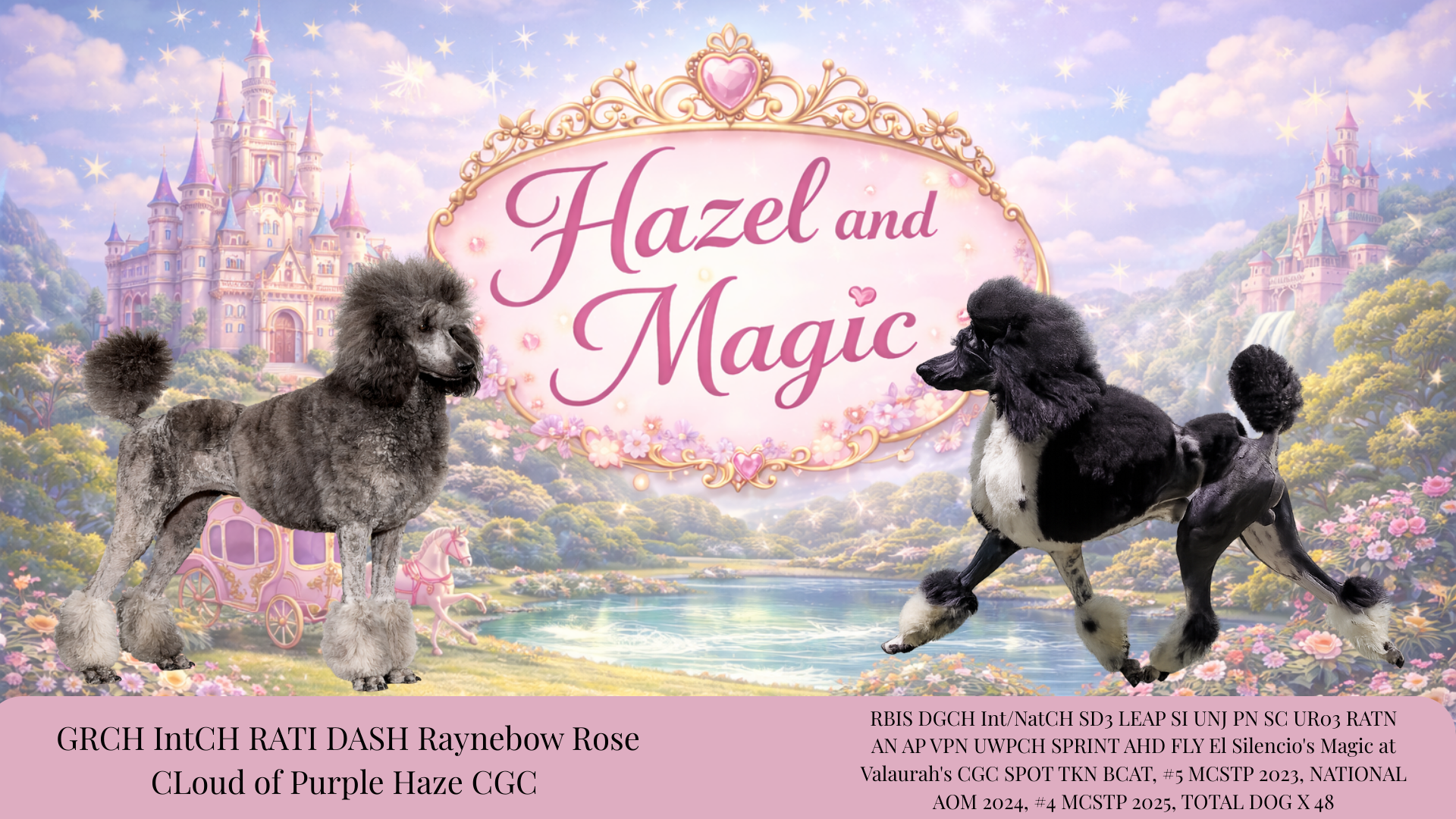 A digital illustration featuring two poodles in a fantasy castle garden. The background includes a pink and purple castle, a lake, and flowered hills. The left poodle has a fluffy gray coat and is standing next to a pink carriage, while the right poodle has a black and white coat and is in a playful pose. The image has a pink banner with text reading 'Hazel and Magic' and additional smaller text at the bottom with information about the dogs.