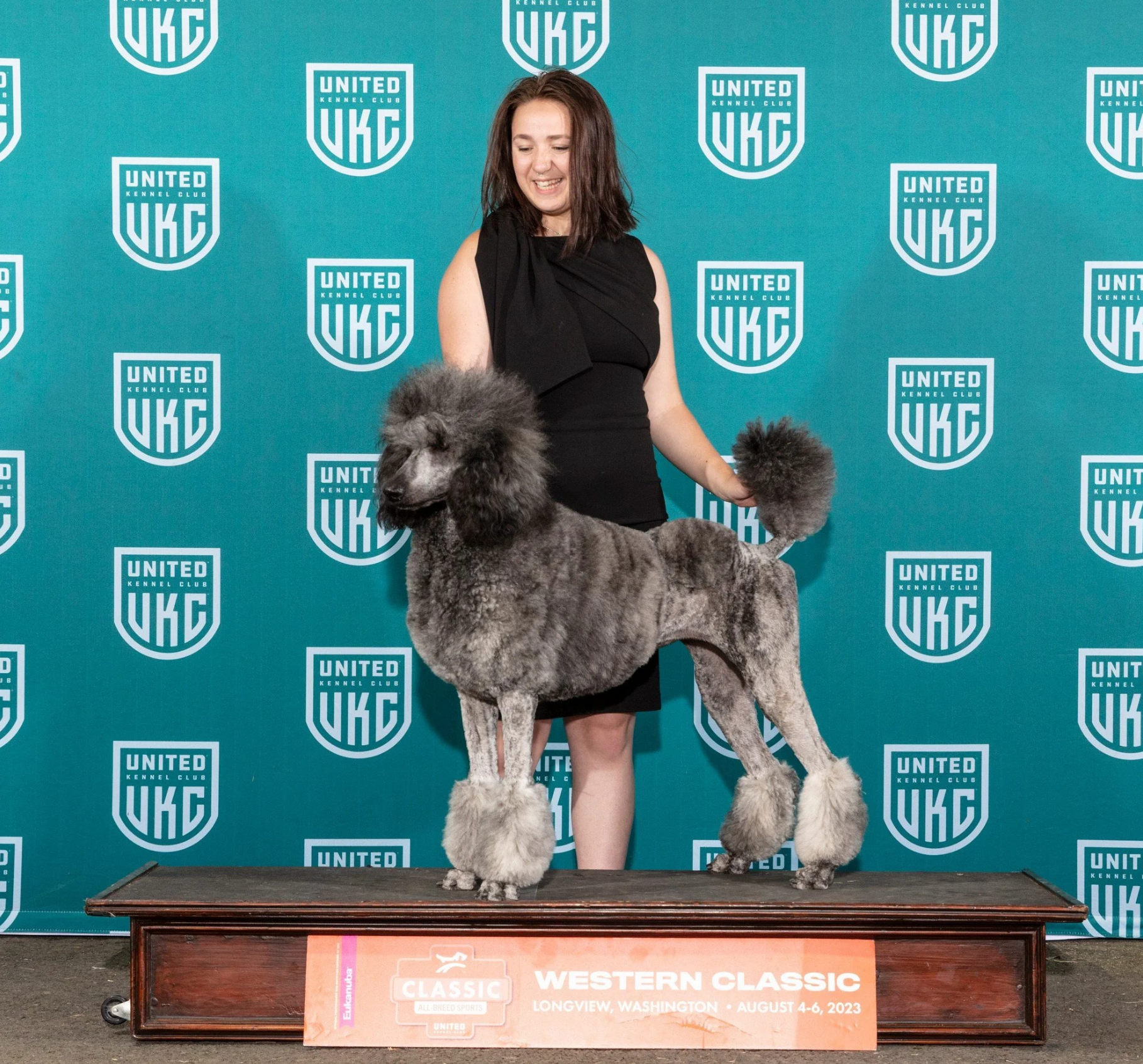 Hazel Standard Poodle female at Valaurah Farms in Oregon