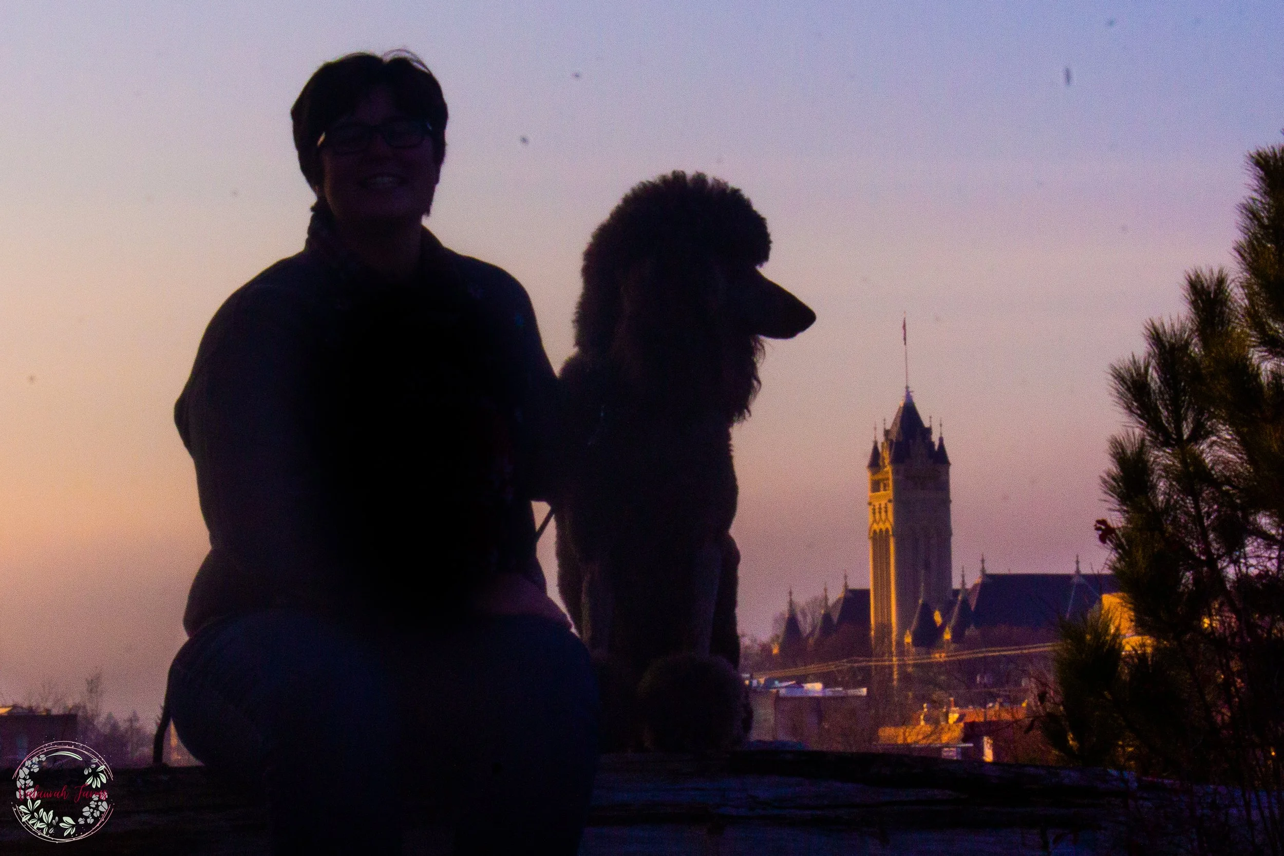 Standard Poodle breeder sitting with a poodle at sunset overlooking a scenic landscape in Oregon