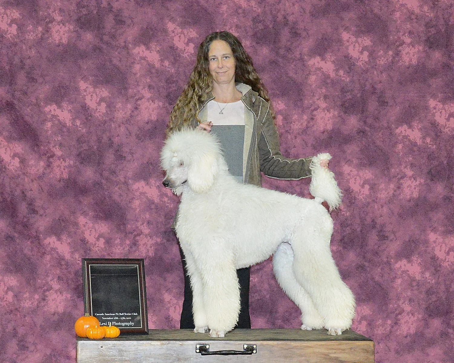 Champion Standard Poodle Veela stacked in conformation pose at Valaurah Farms, showcasing structure, balance, and show-quality movement