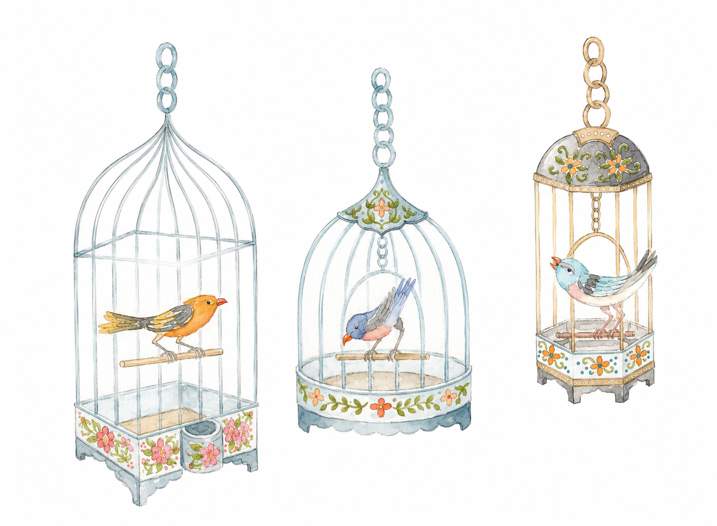 Birdcages.png