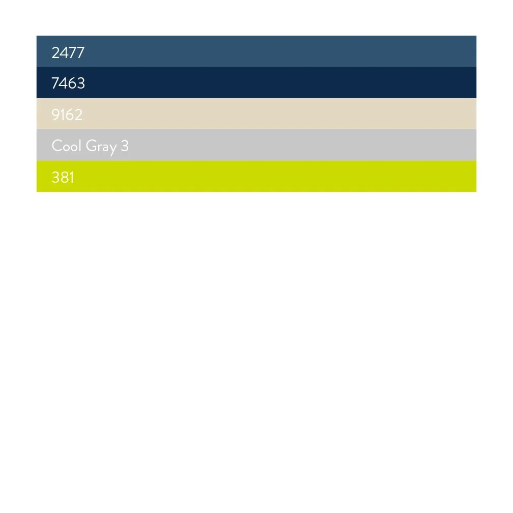 IR Brand Strategy Visual Identity-03.jpg