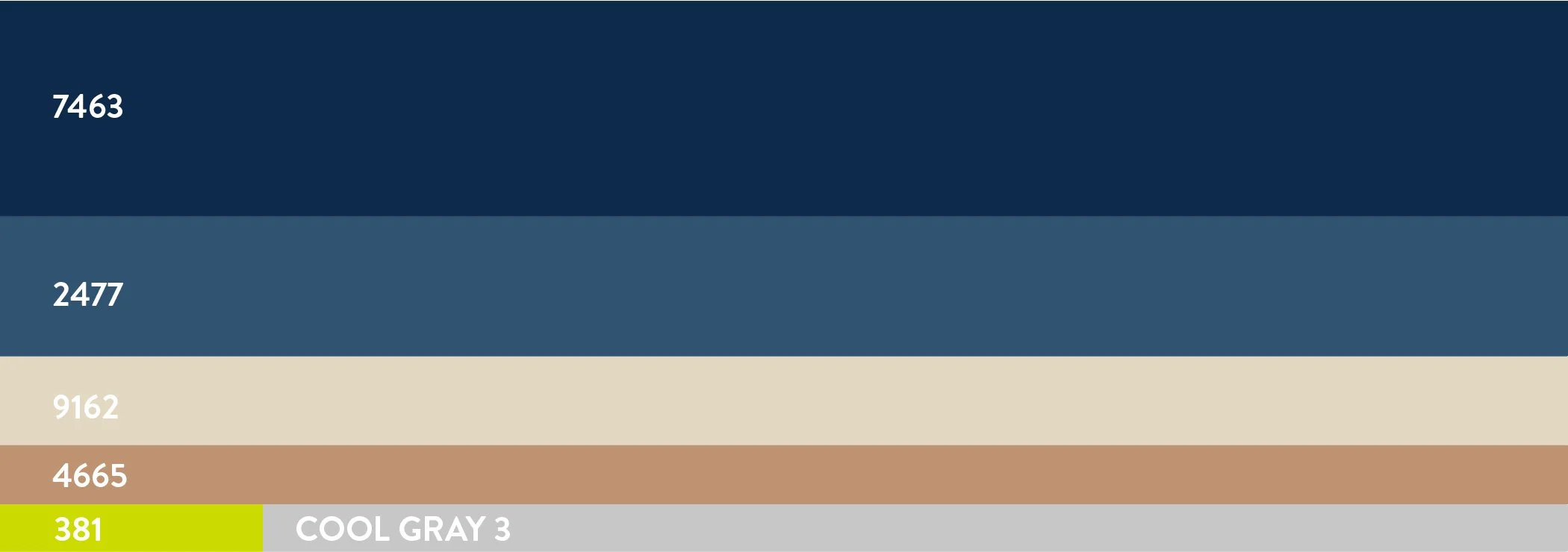 IR Brand Strategy Visual Identity.jpg