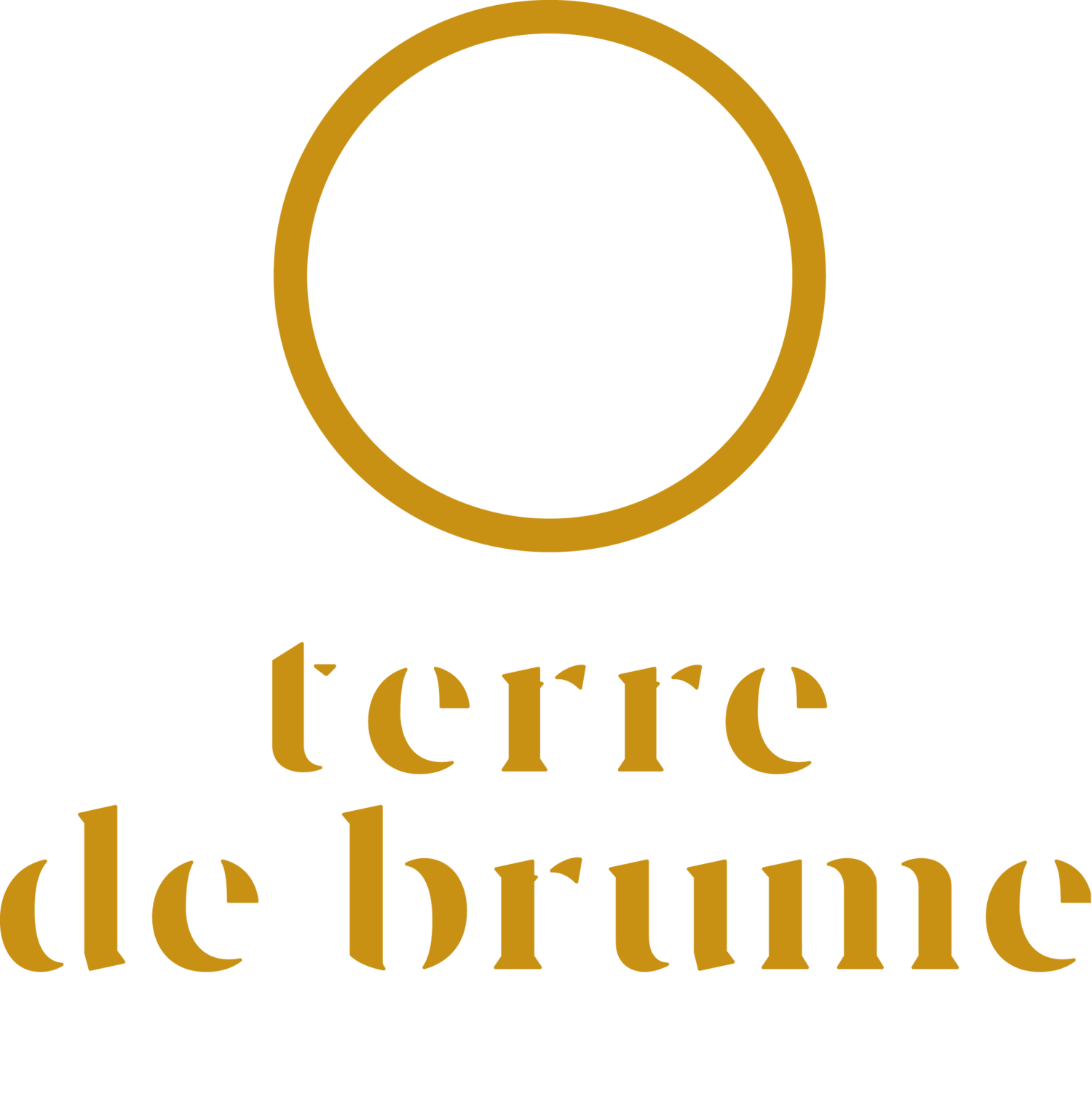 Terre de brume