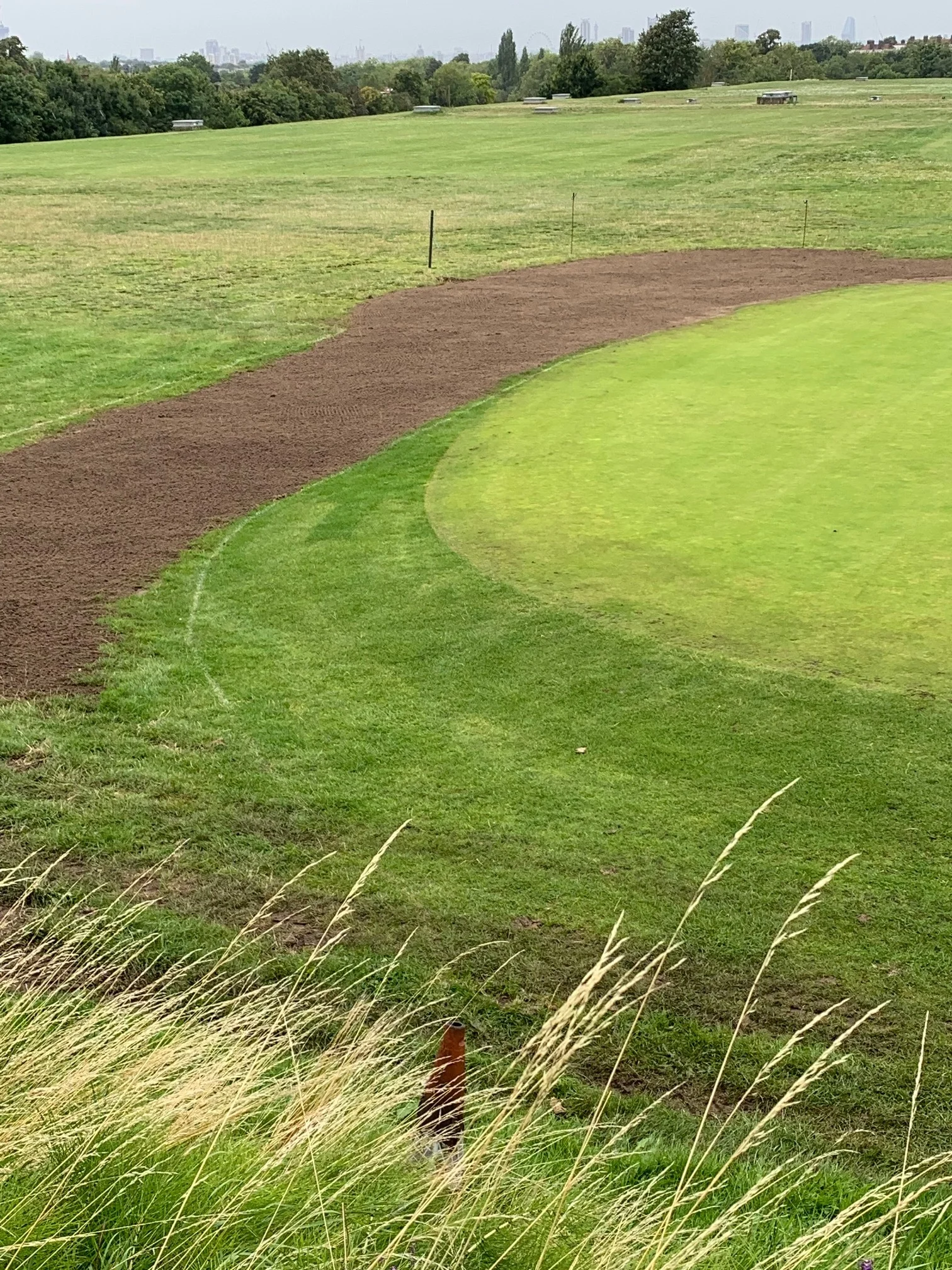 Course Update Putting Green & Seeding — Aquarius Golf Club