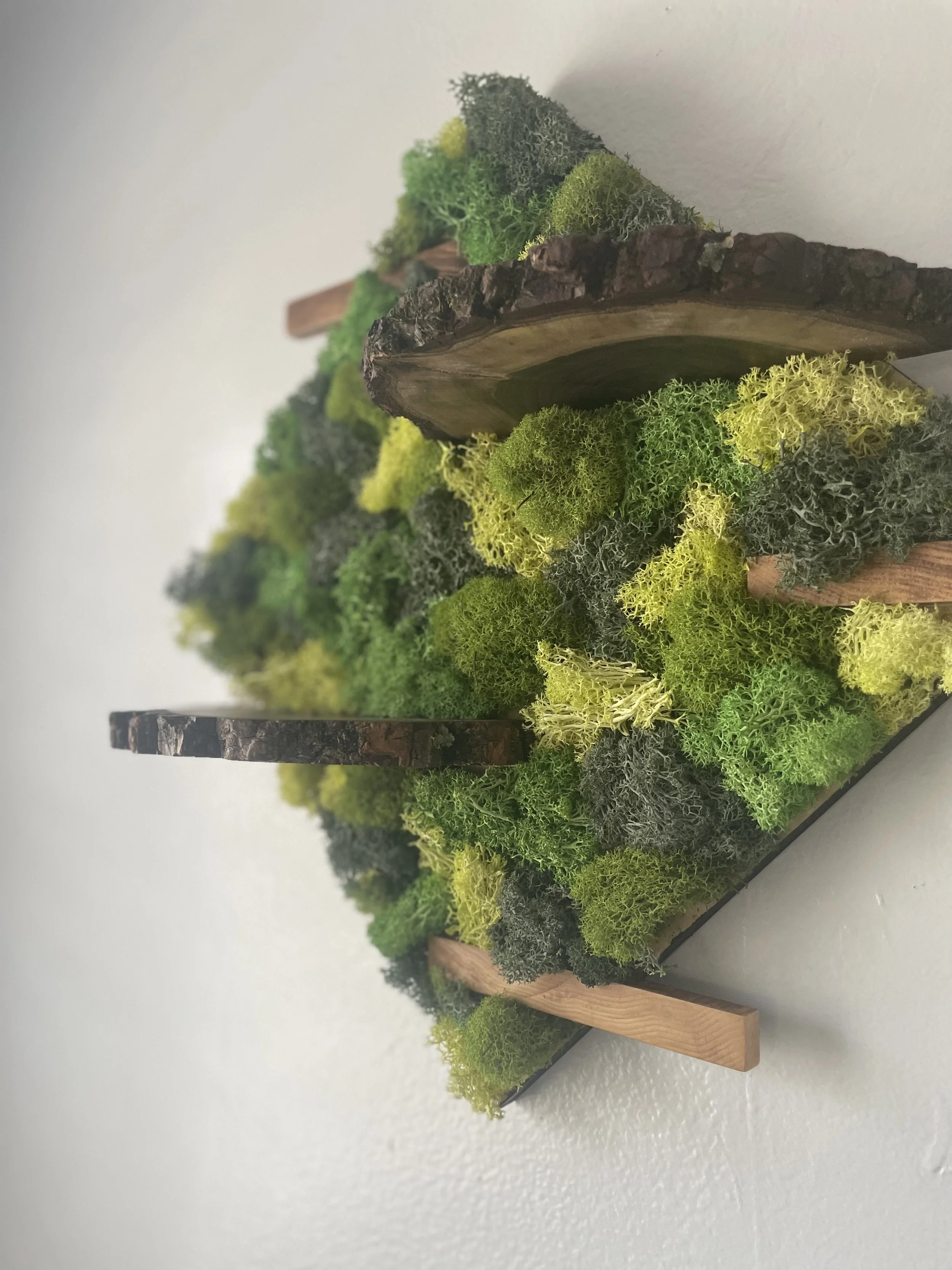 Floating shelf_3.jpg