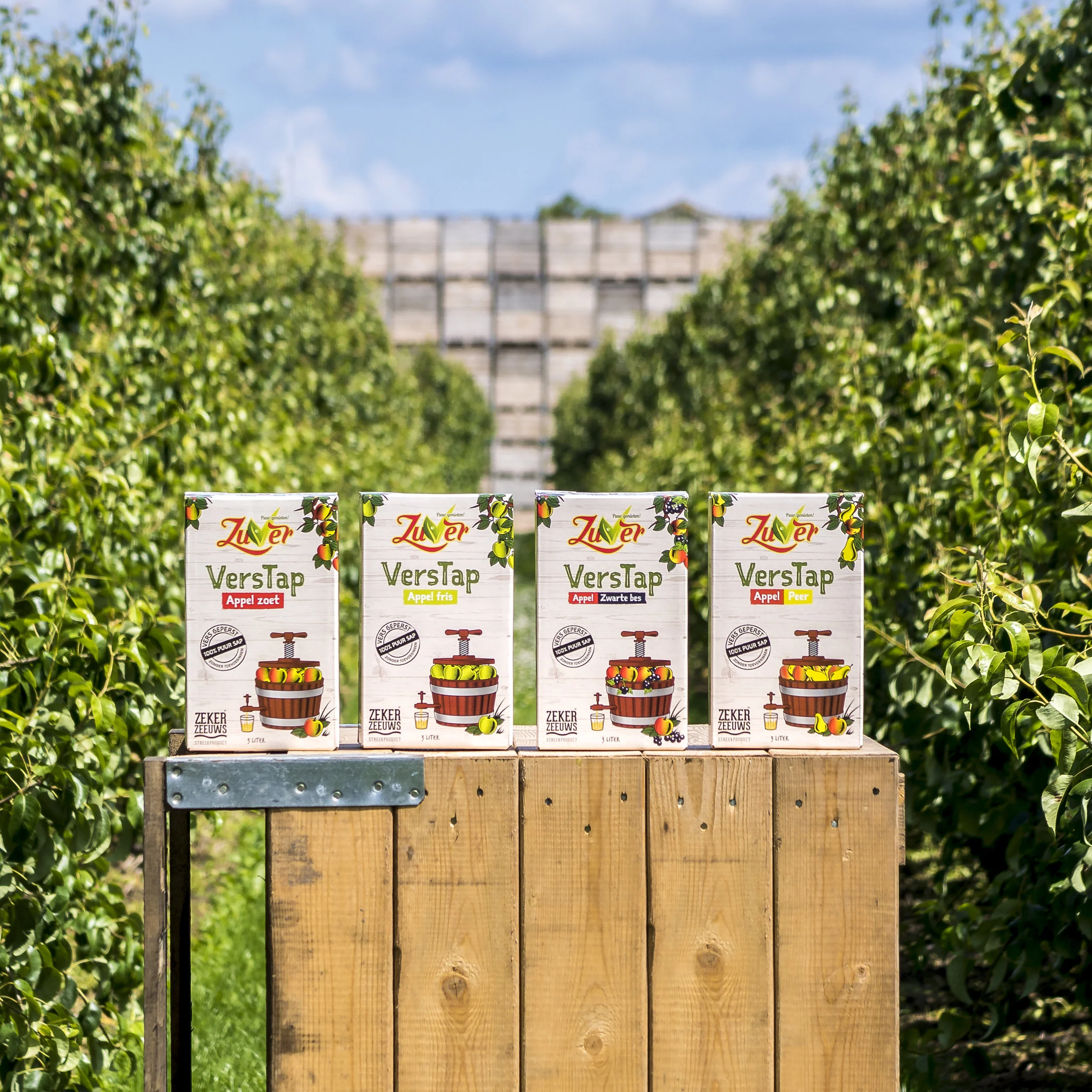 Ontdek de Zuver Verstap