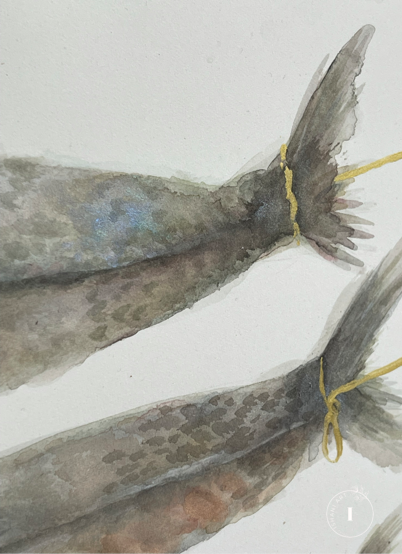 Les poissons - Detail 01