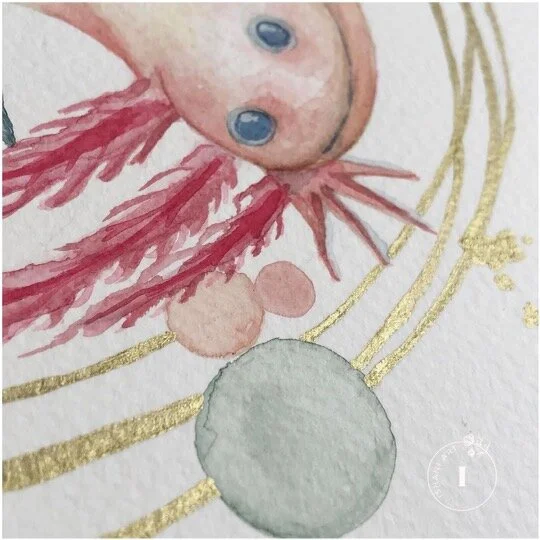 Axolotl -  Detail 02