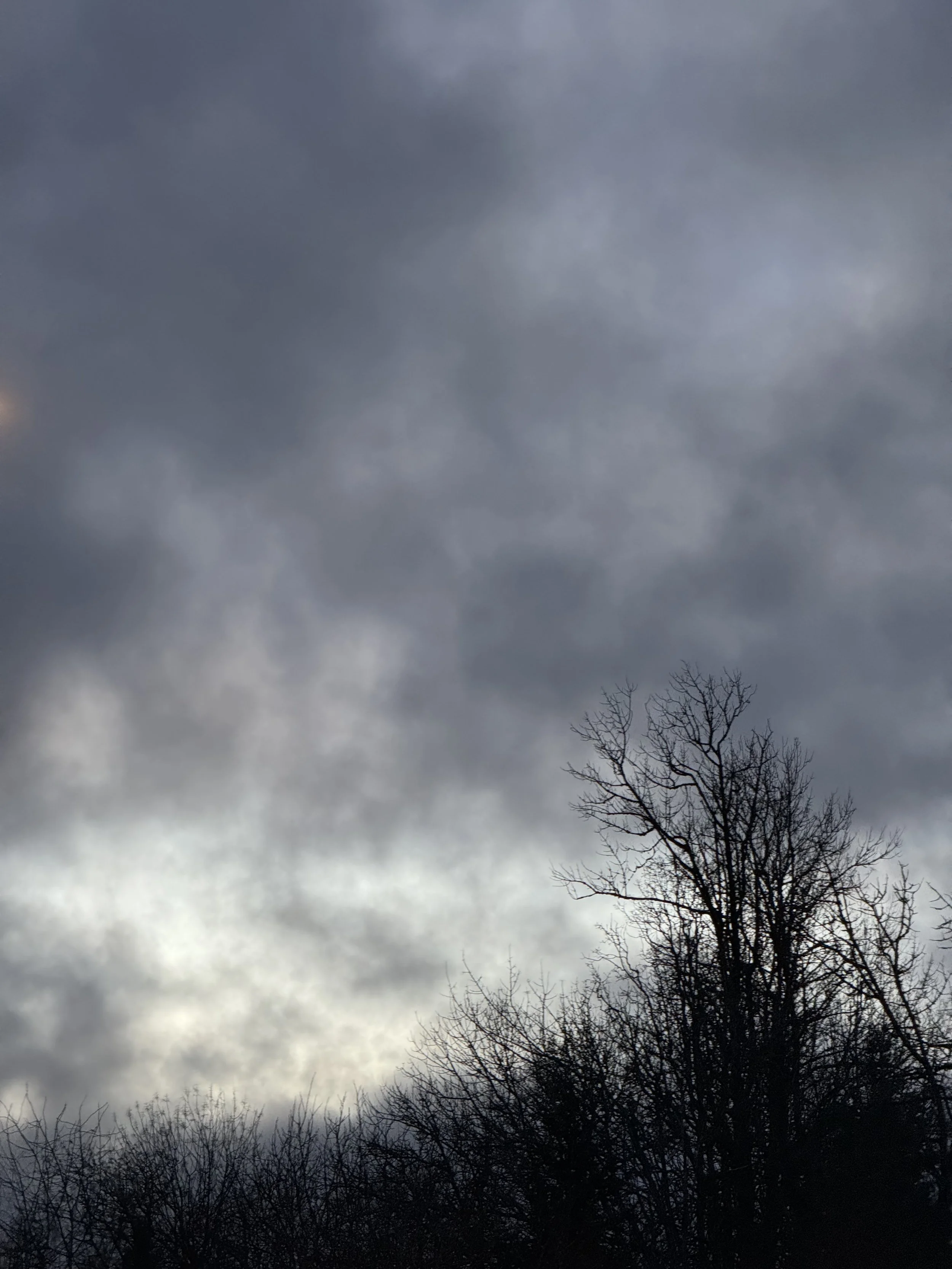 IMG_0913.jpeg