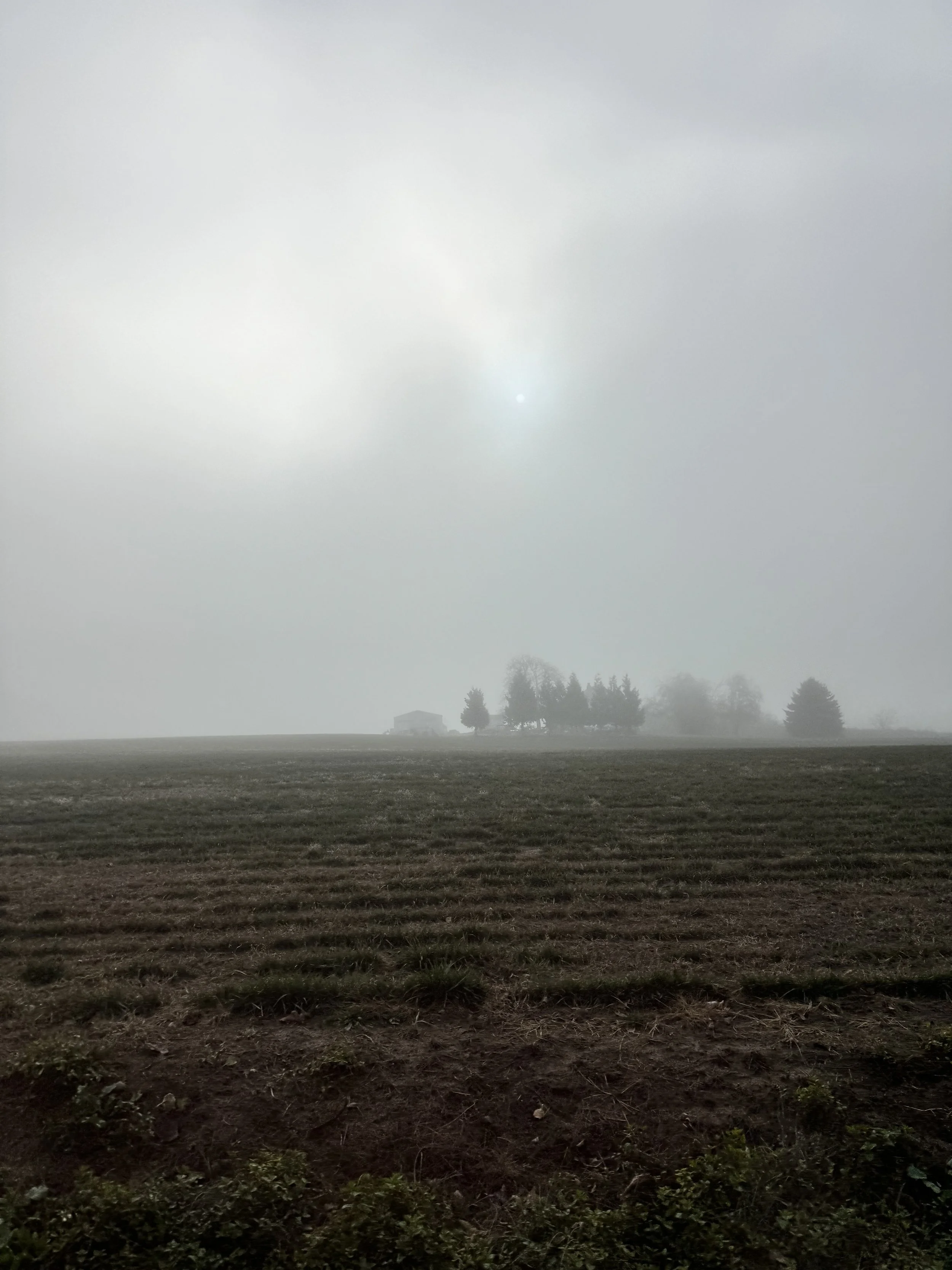IMG_0982.jpeg