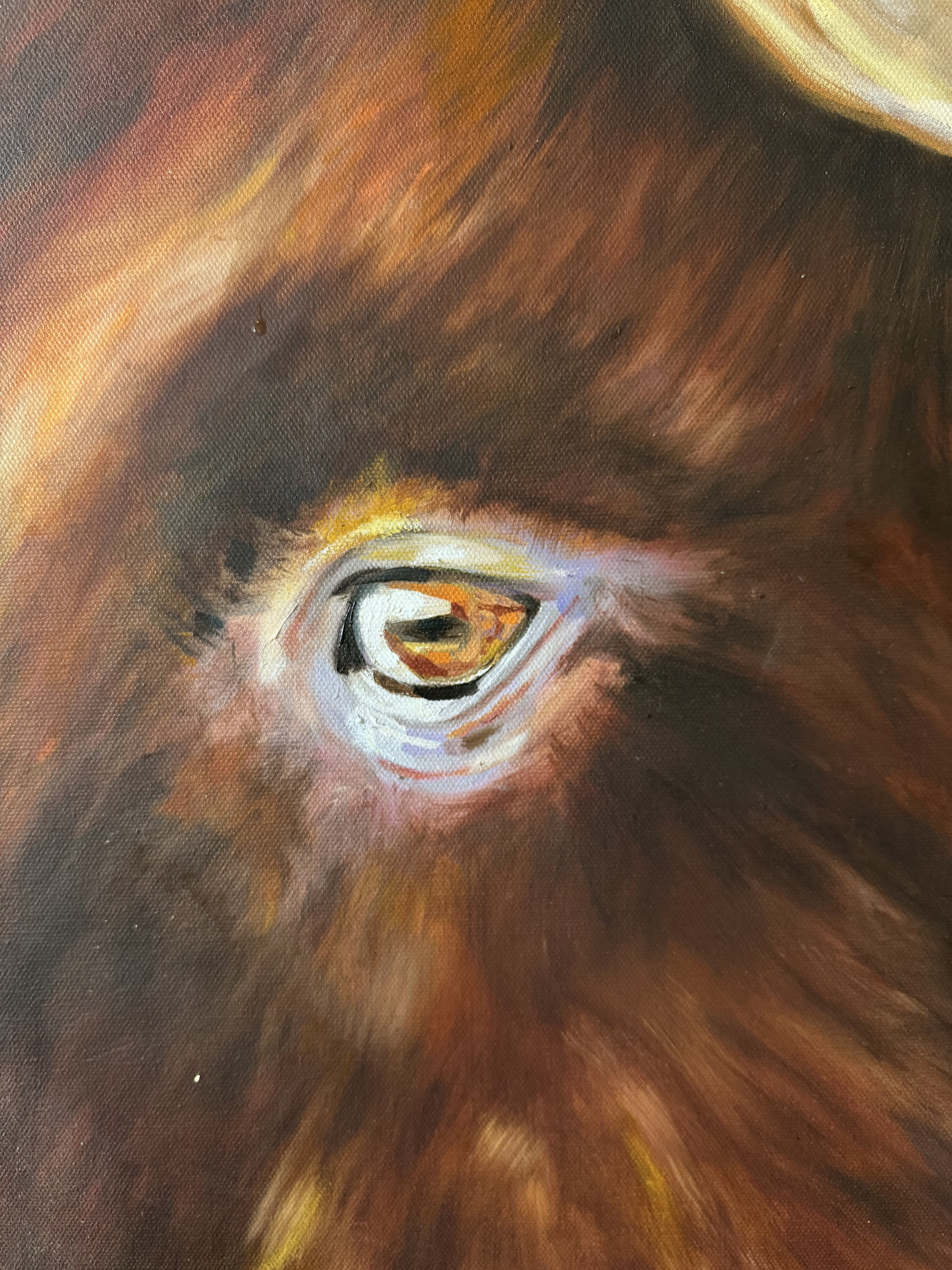 Summer Art Showcase
