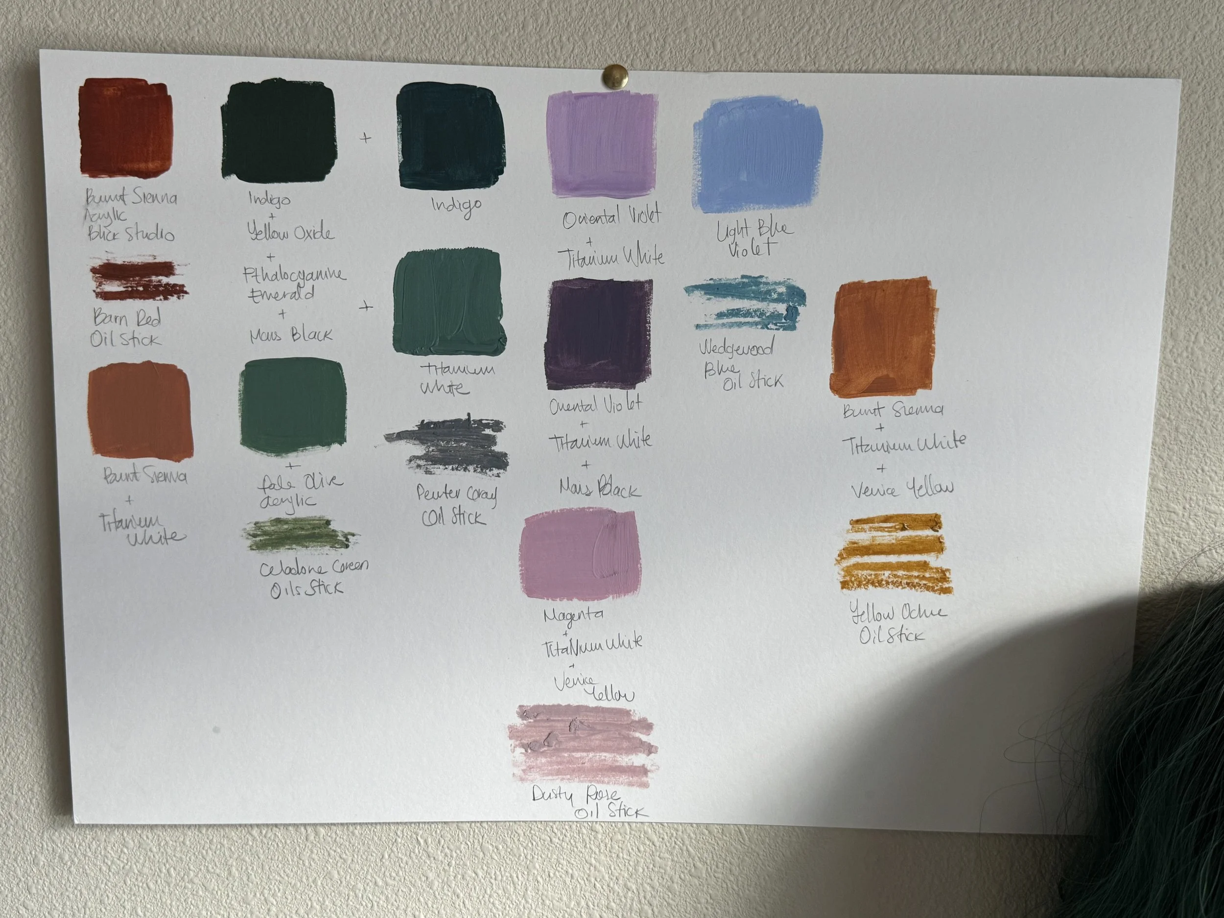 IMG_3343.jpeg