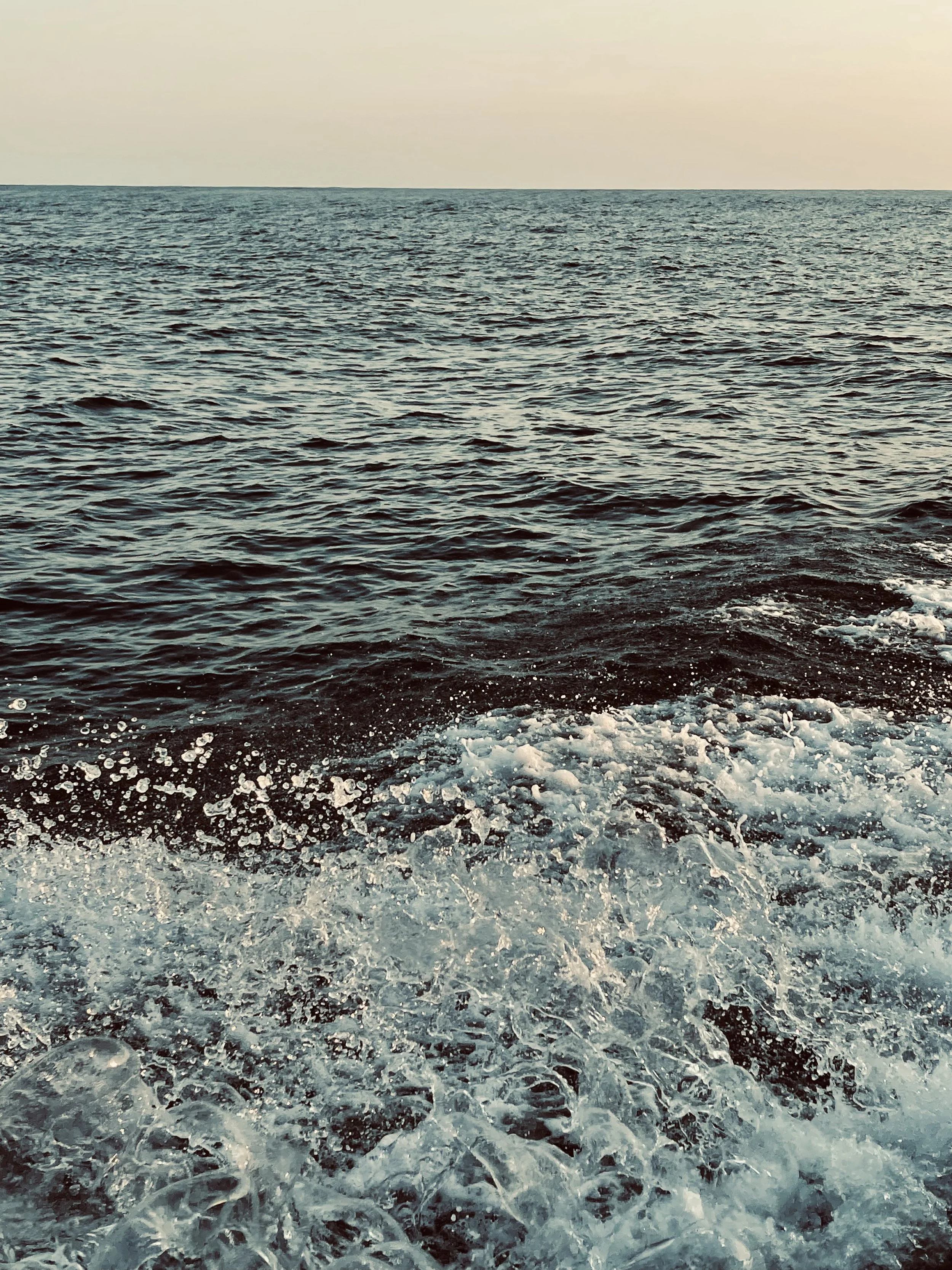 IMG_9800.jpeg