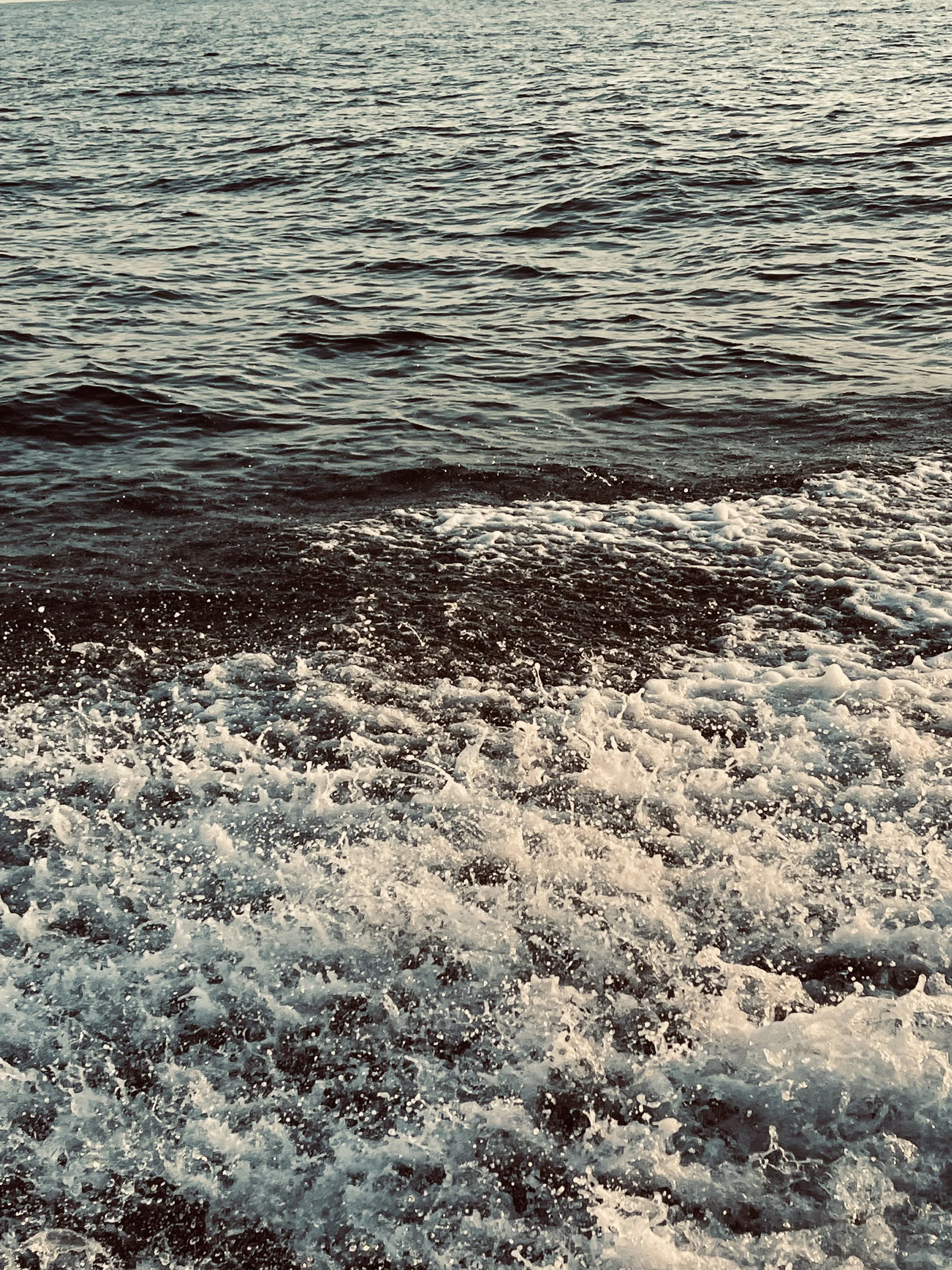 IMG_9801.jpeg