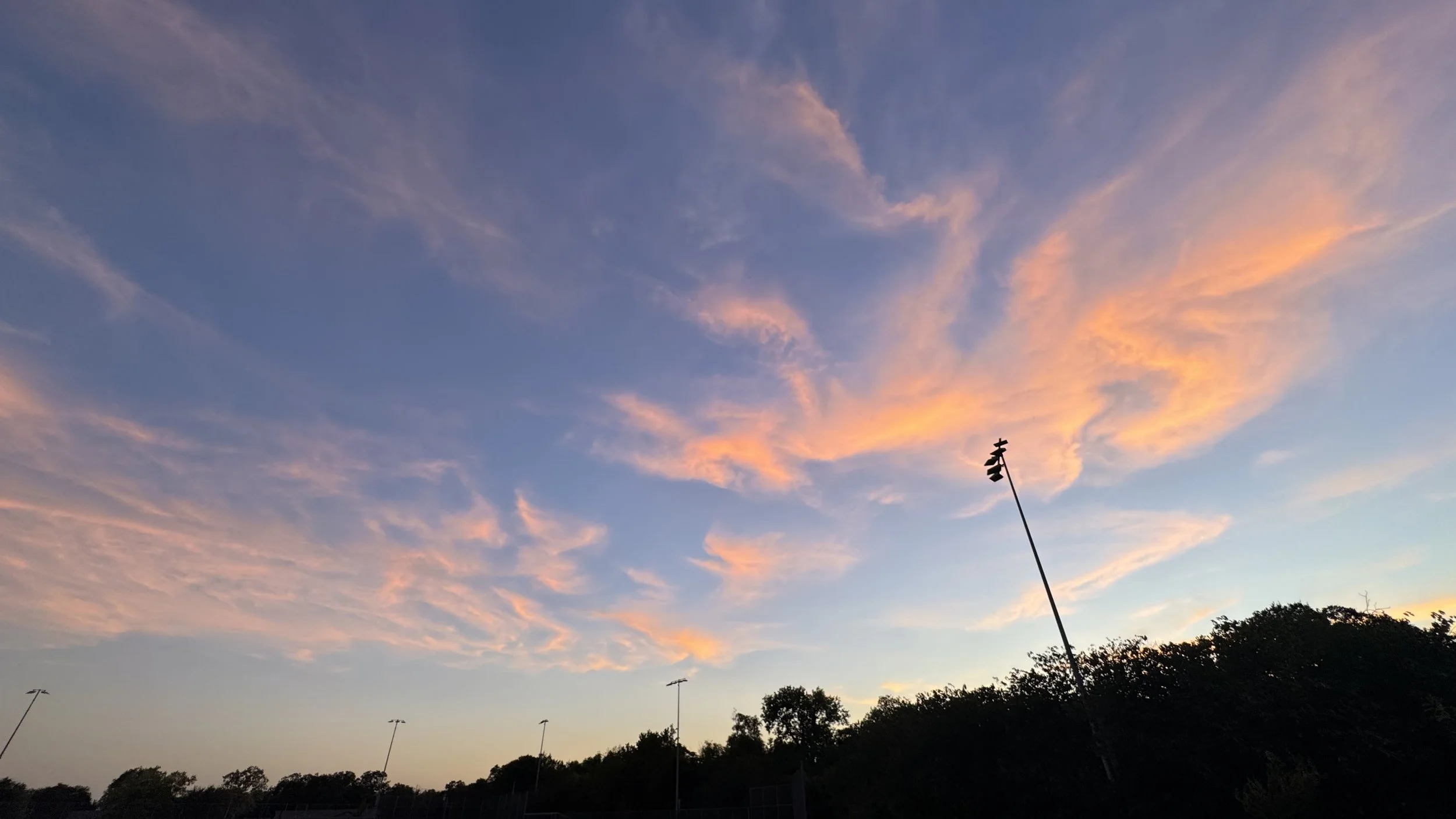 IMG_8357.jpeg