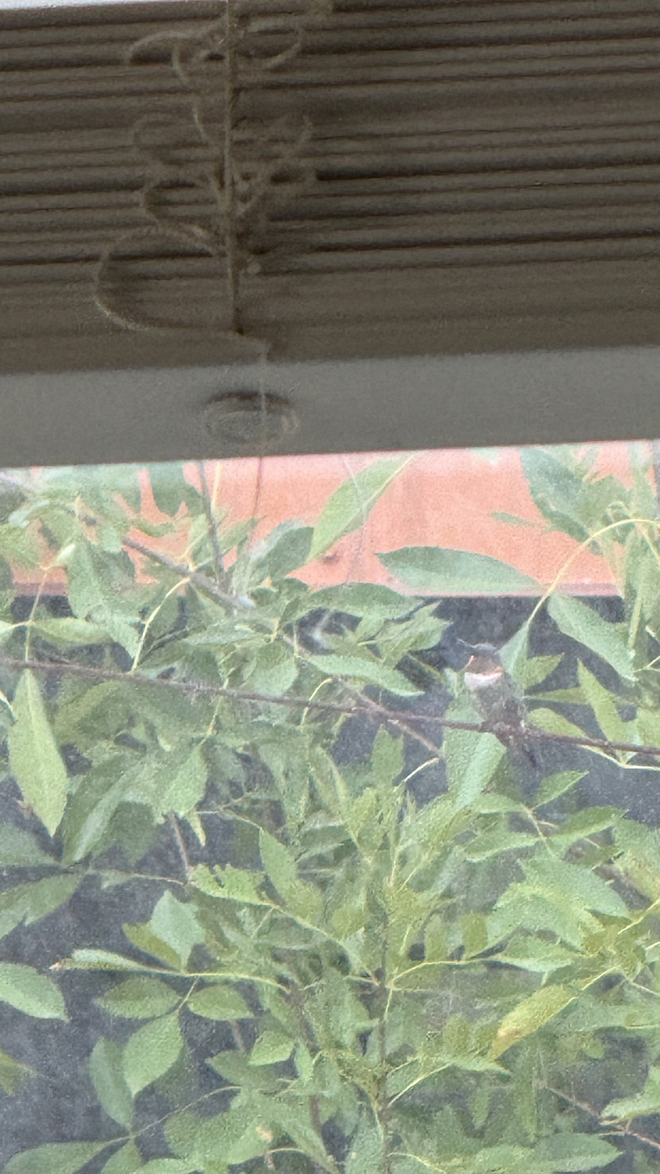 IMG_8722.jpeg