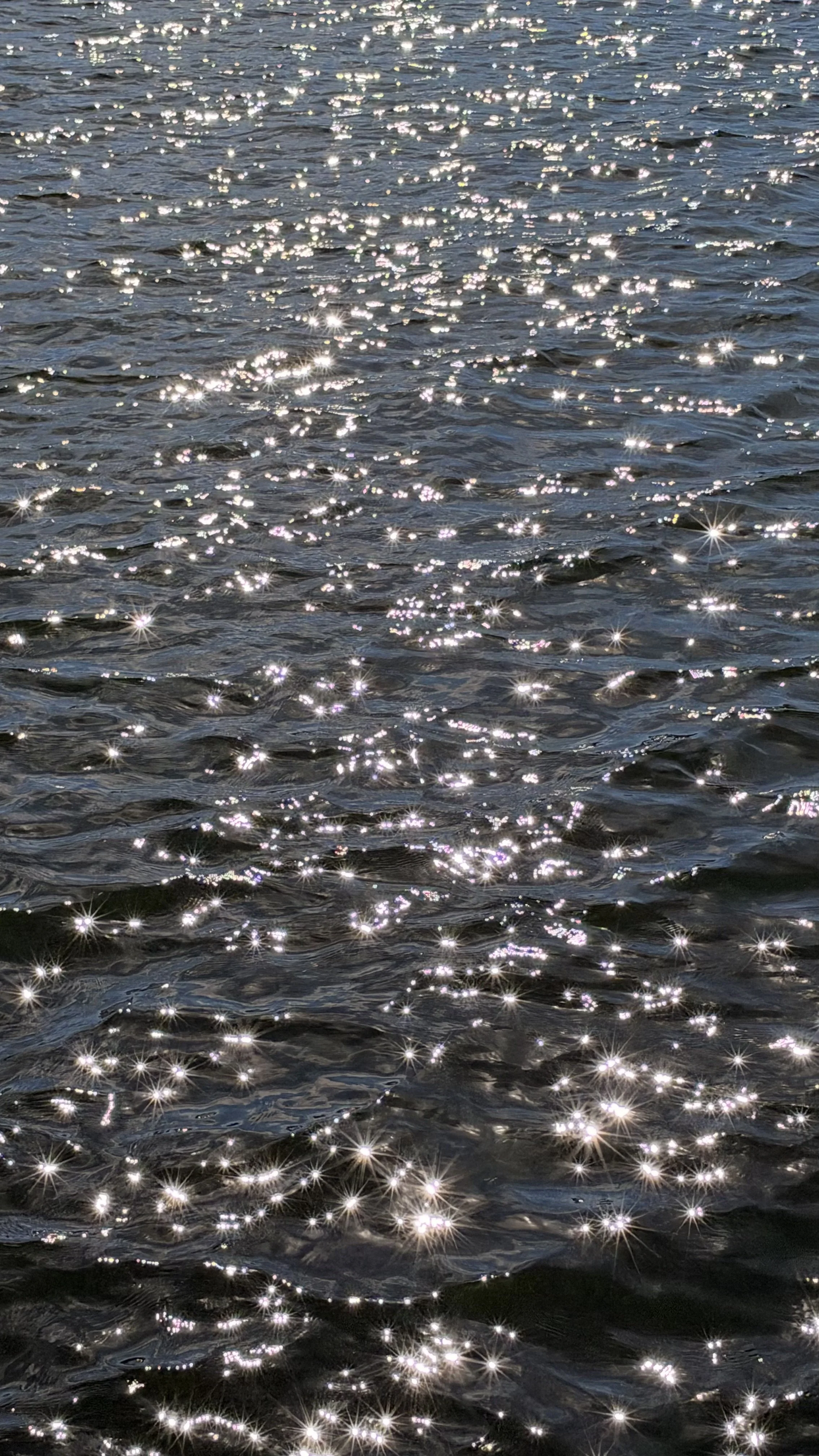 IMG_0776.jpeg