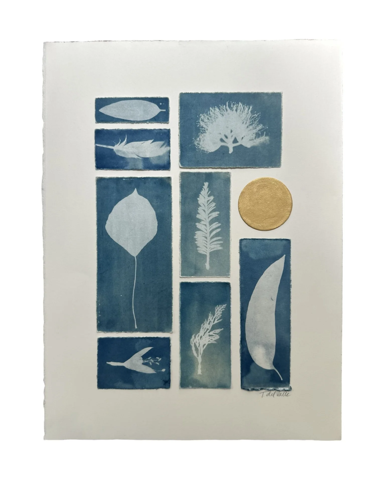 wet and bleached cyanotypes, handmade gold mica watercolor