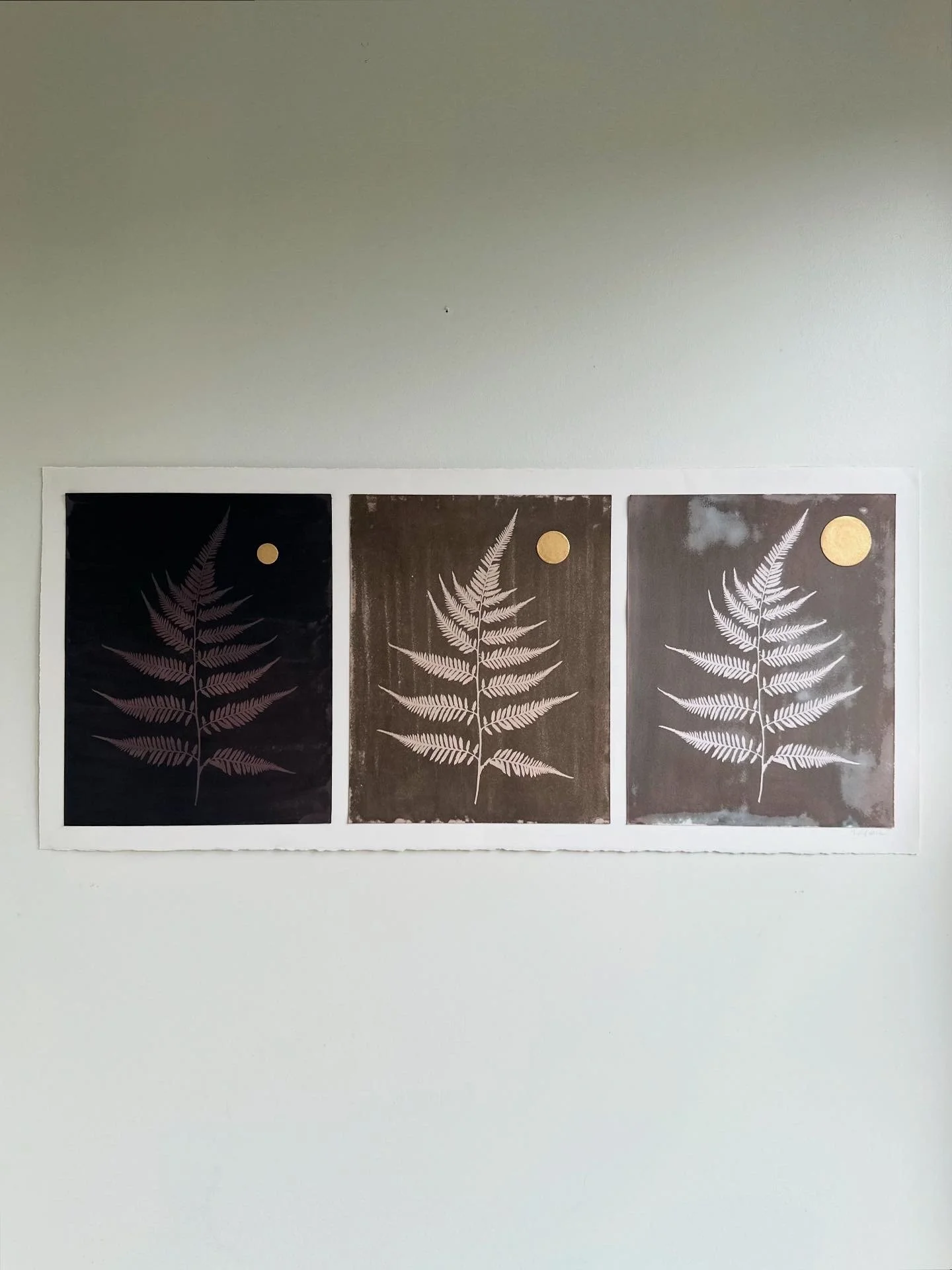  wet cyanotypes, bleached and toned with oak galls+iron, black walnut, and green tea, handmade gold mica 