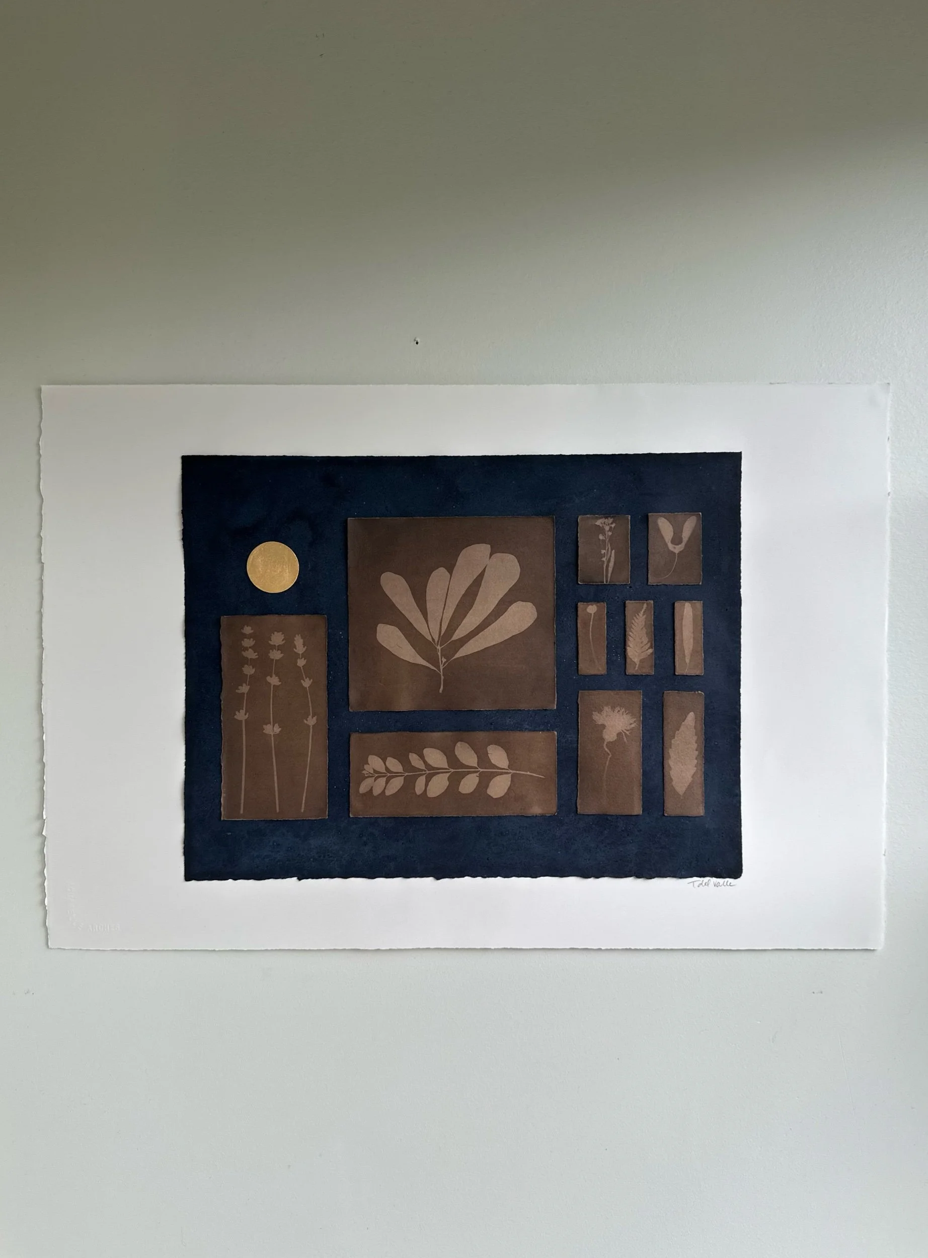 wet cyanotypes, bleached and toned with black walnut, handmade gold mica and indigo watercolors