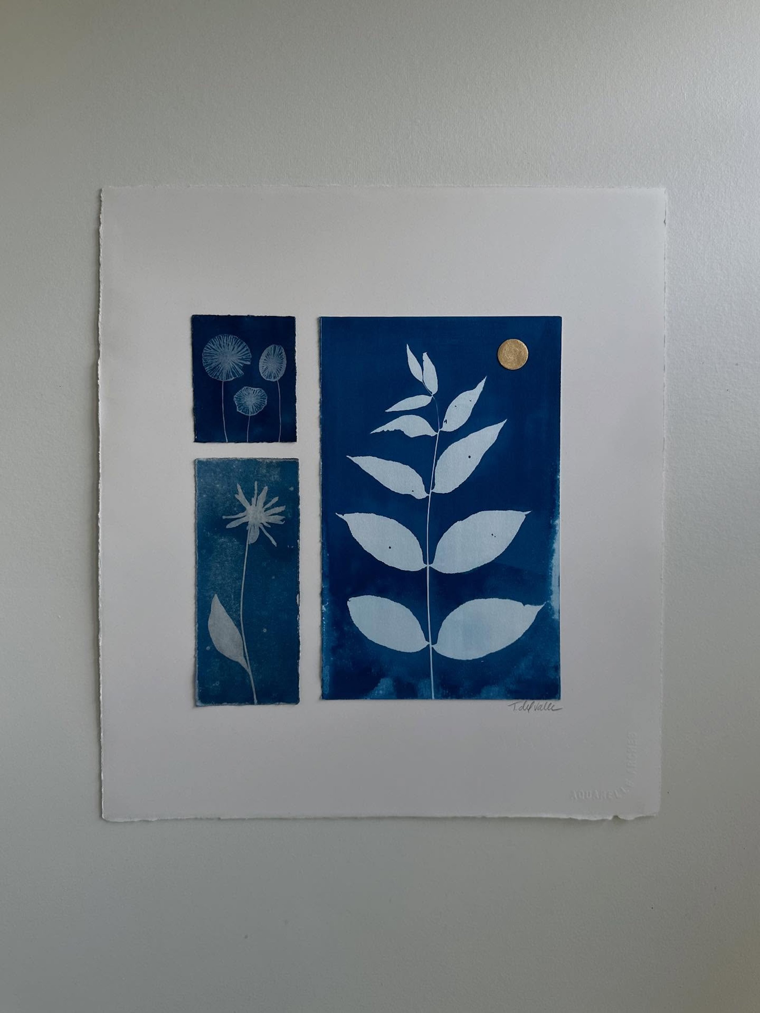  wet cyanotypes, handmade gold mica watercolor 