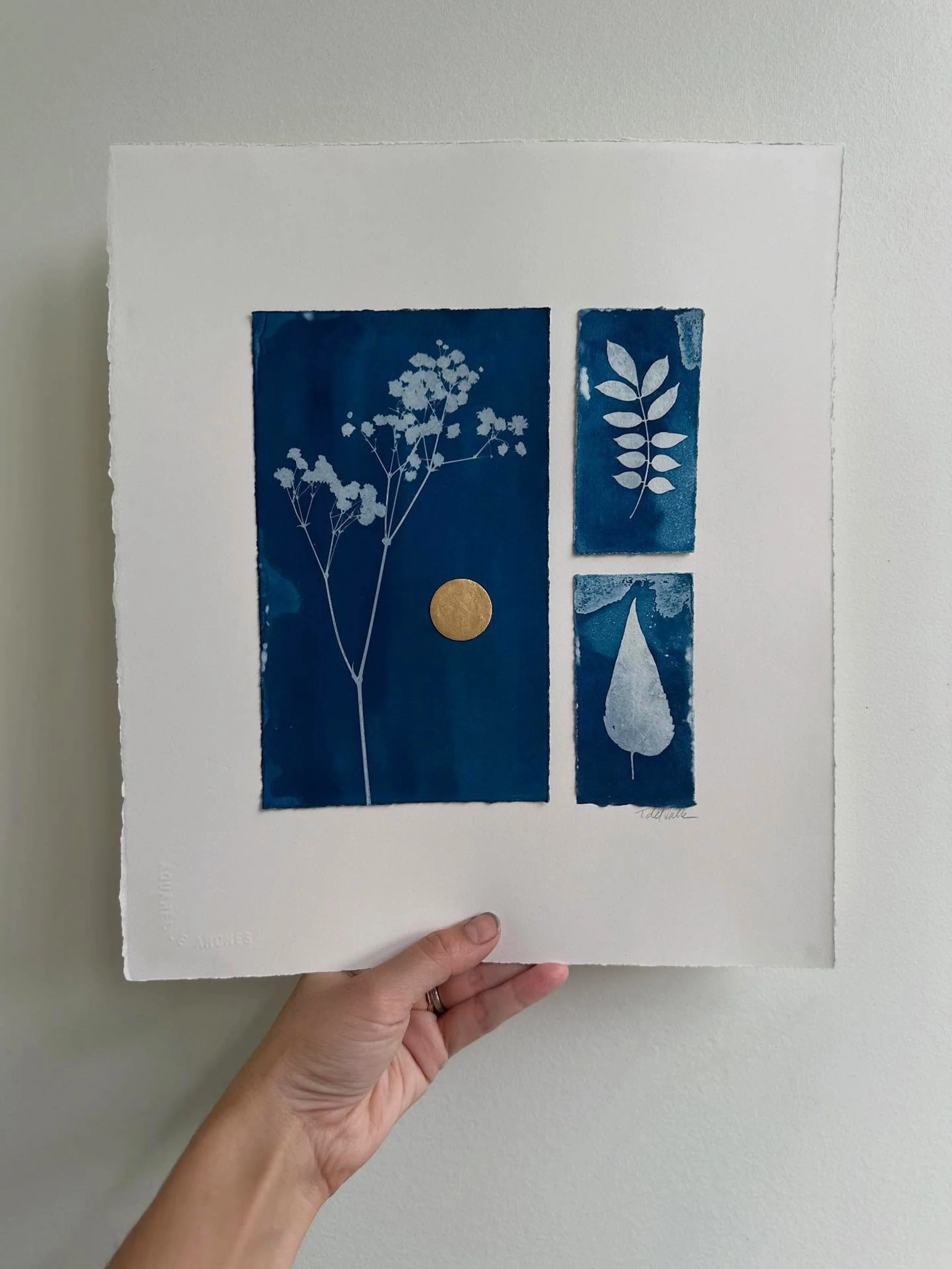  wet cyanotypes, handmade gold mica watercolor 
