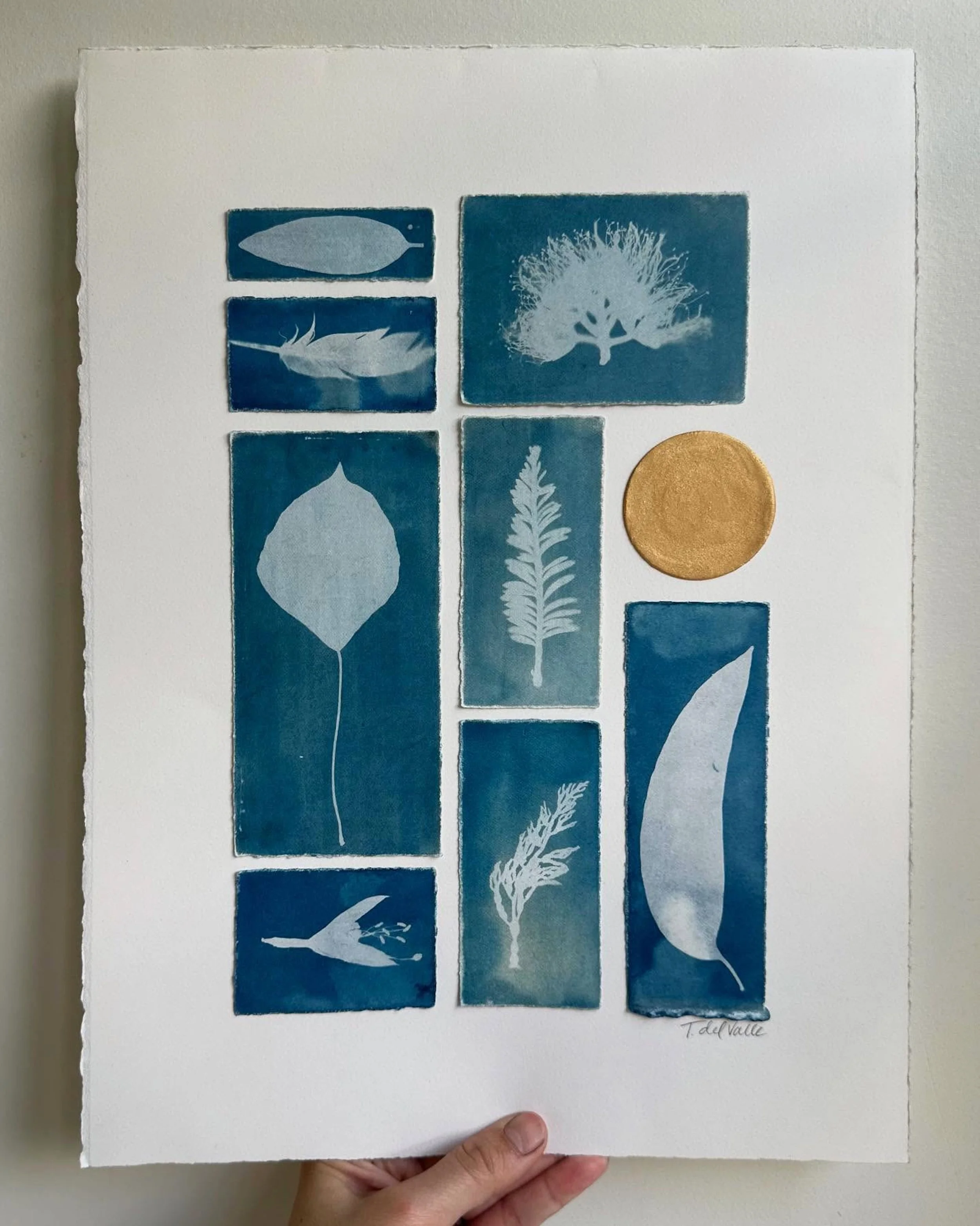  wet and bleached cyanotypes, handmade gold mica watercolor 