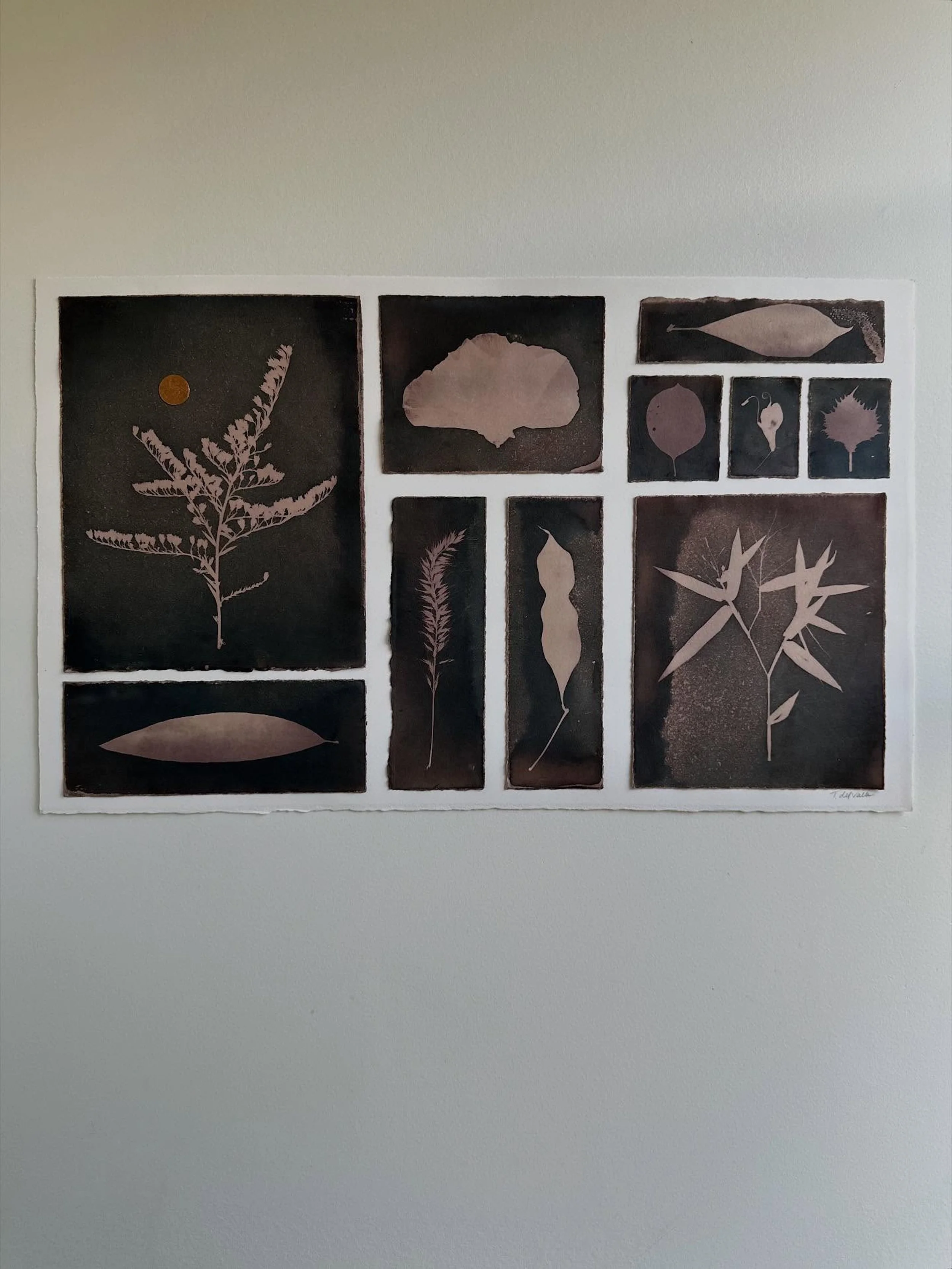  wet cyanotypes bleached and toned with green tea, handmade copper mica watercolor 