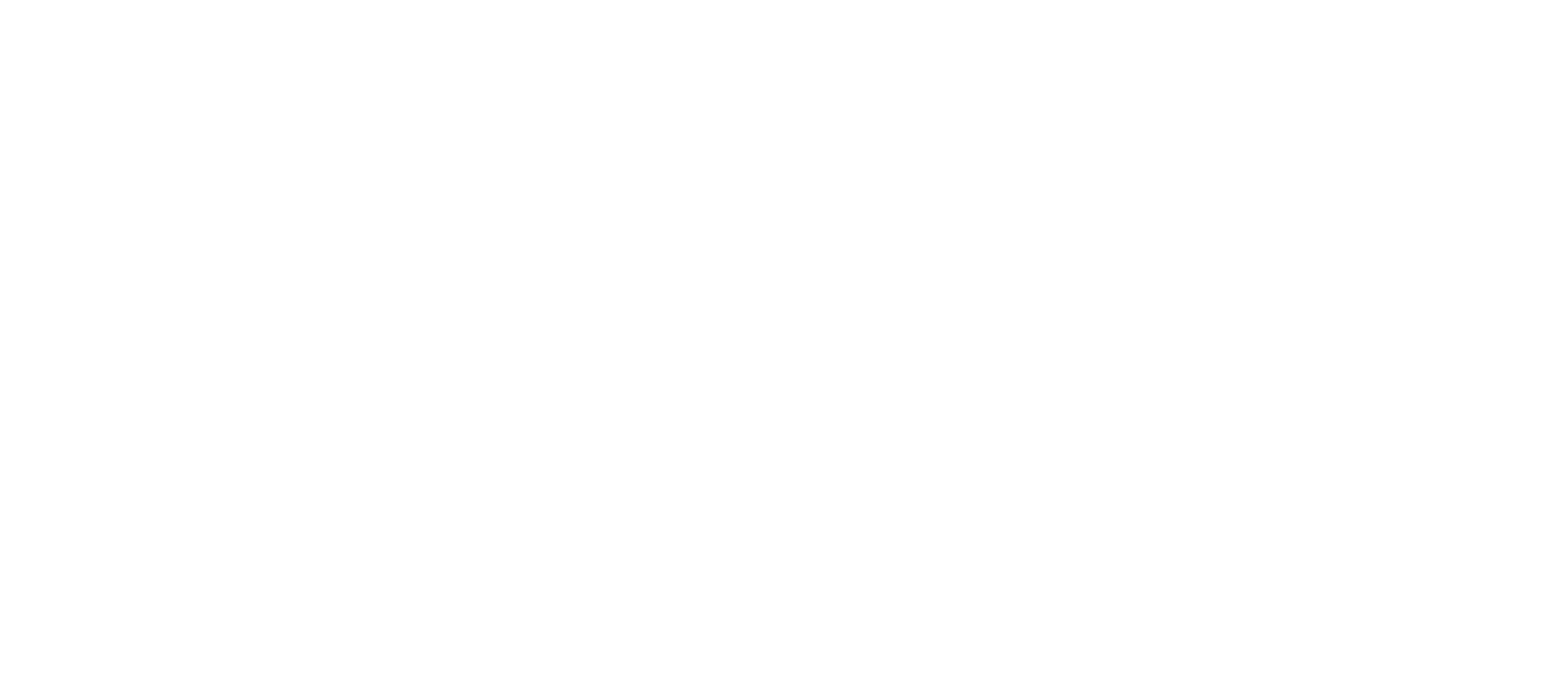 Armenian-American Action Network