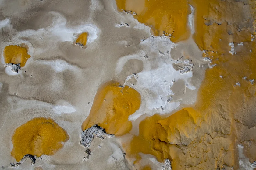 _LDC2694 2.jpg