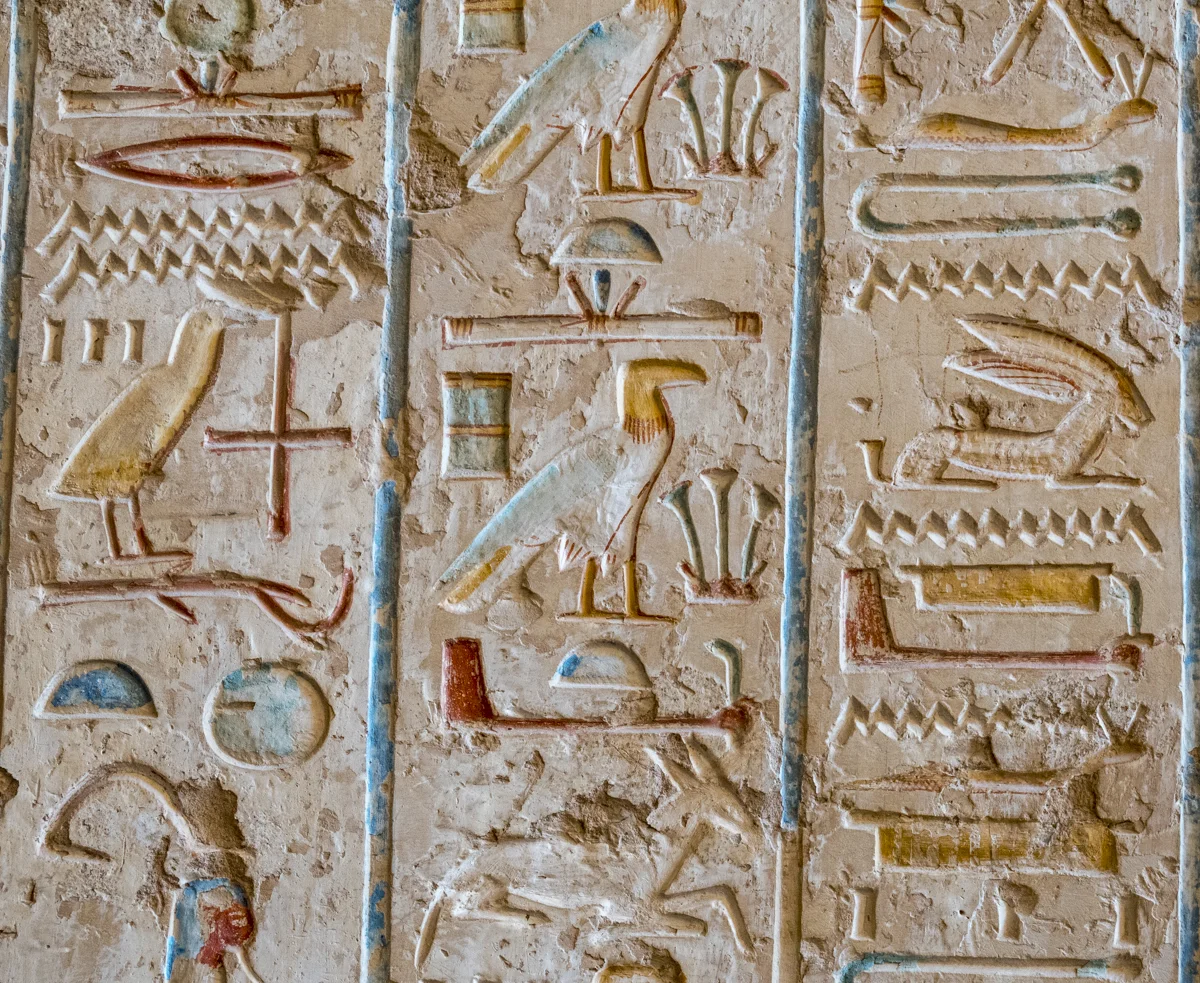 _LDC6282.jpg