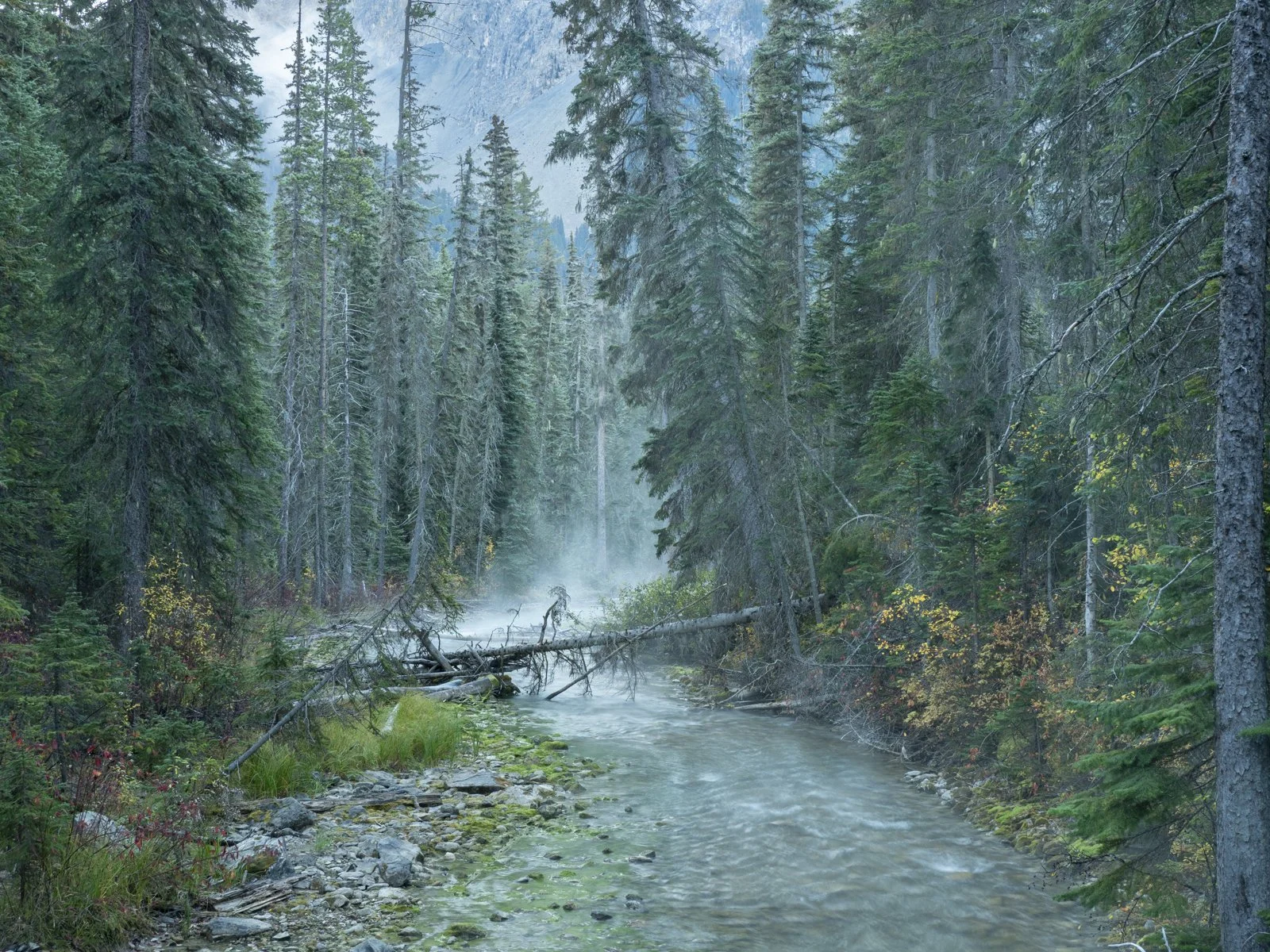 Emerald Lake, BC