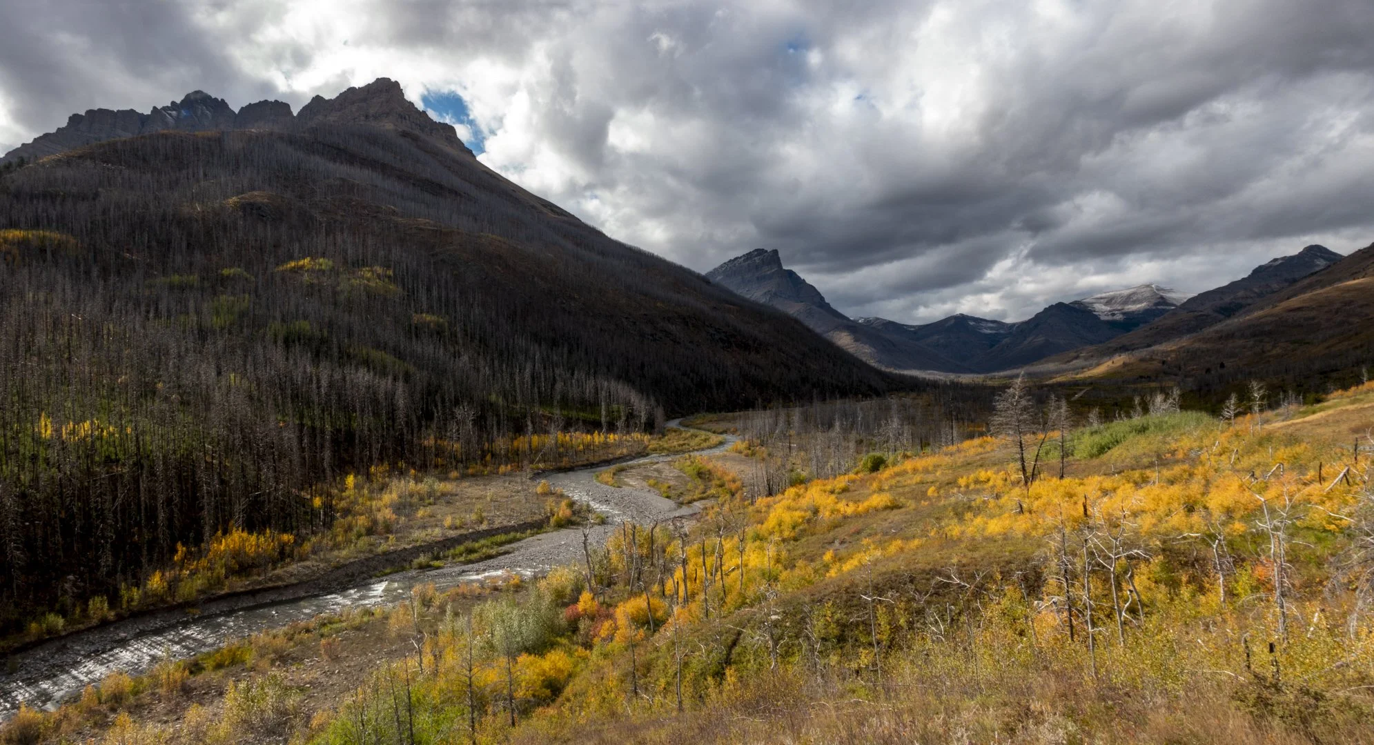 LDC01388-Pano.jpg