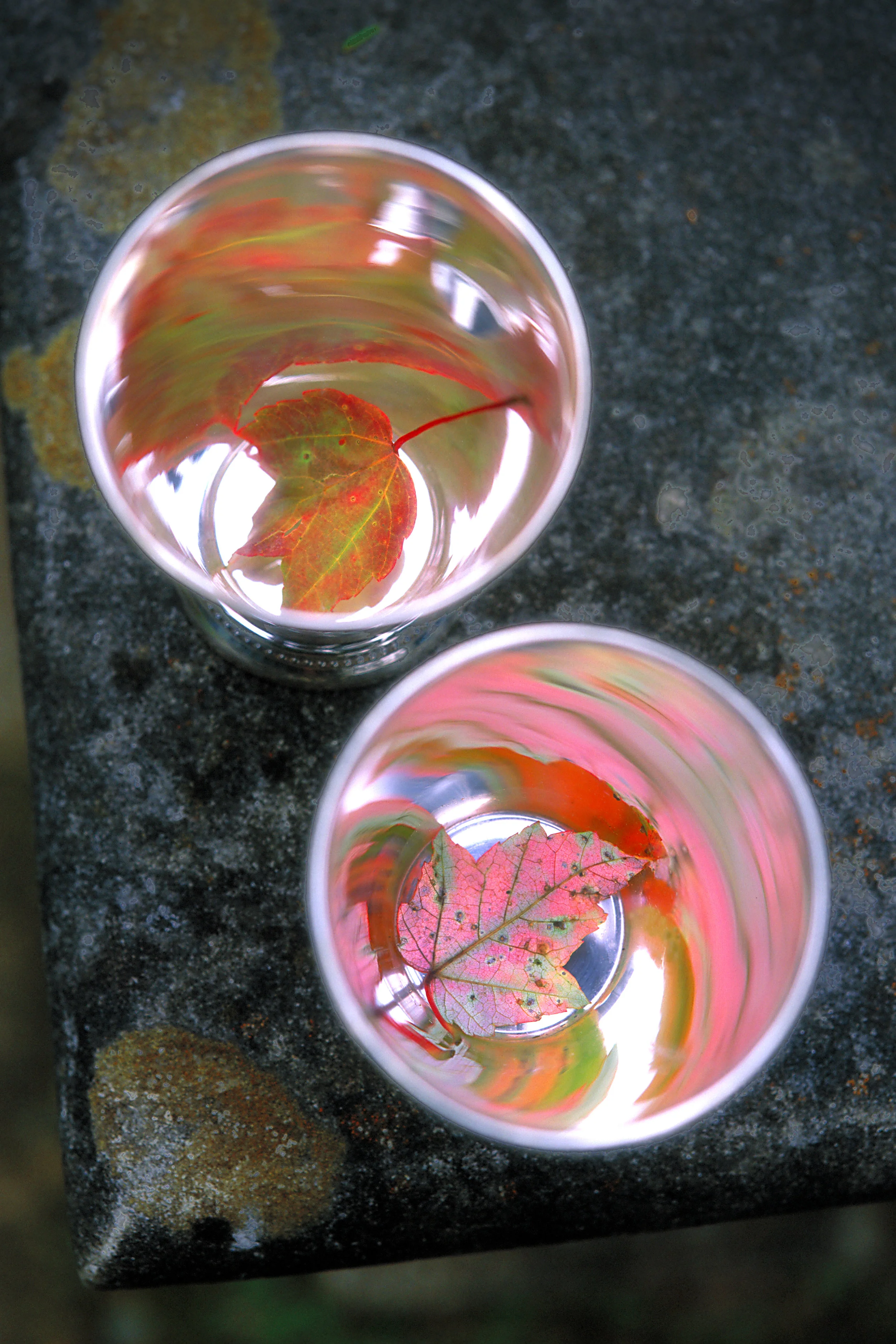 Naumkeg Leafcups.jpg