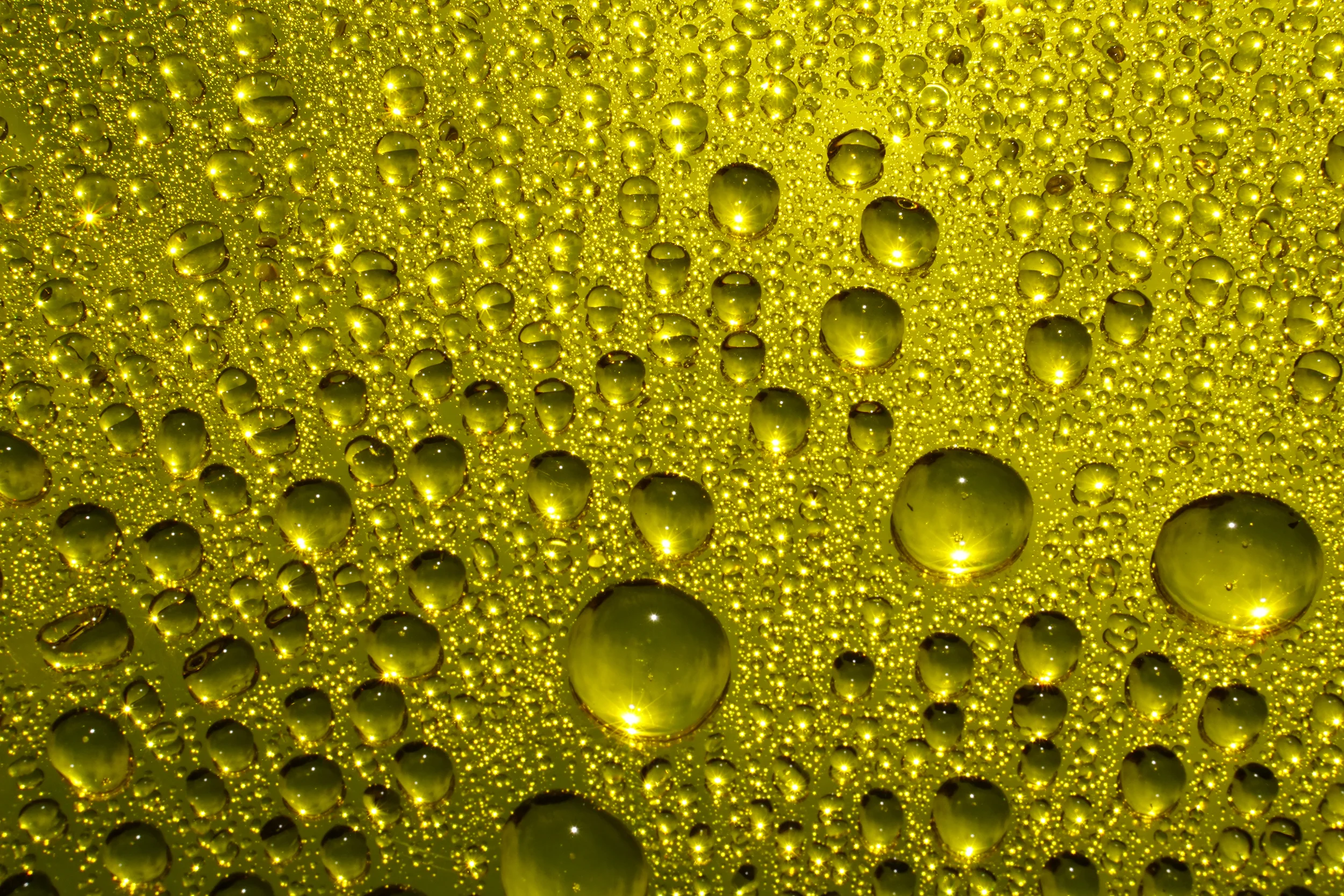 WaterandLight_016.jpg