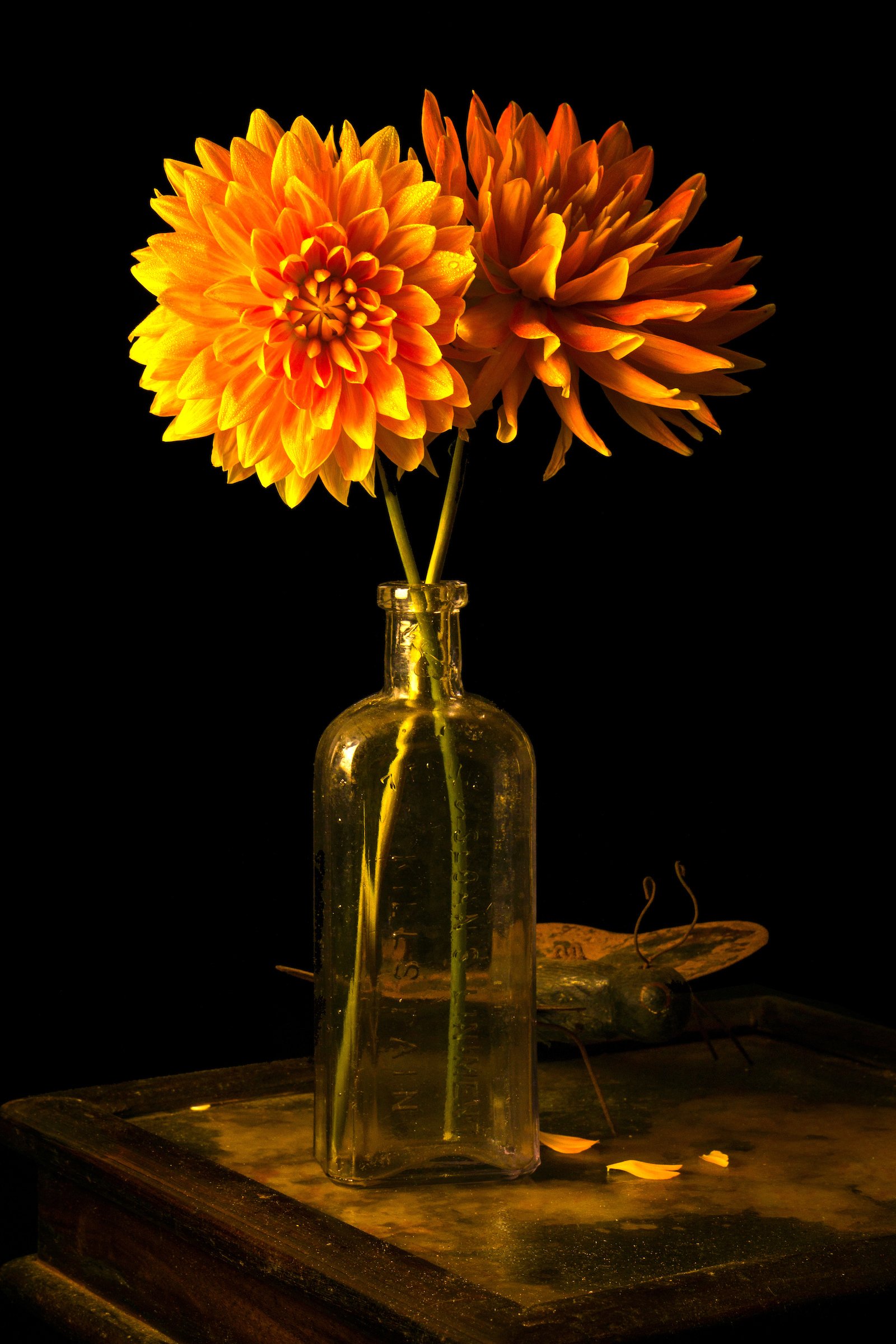 004 Dahlias and Iron Butterfly_A_RS.jpg