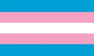 trans-flag.jpeg