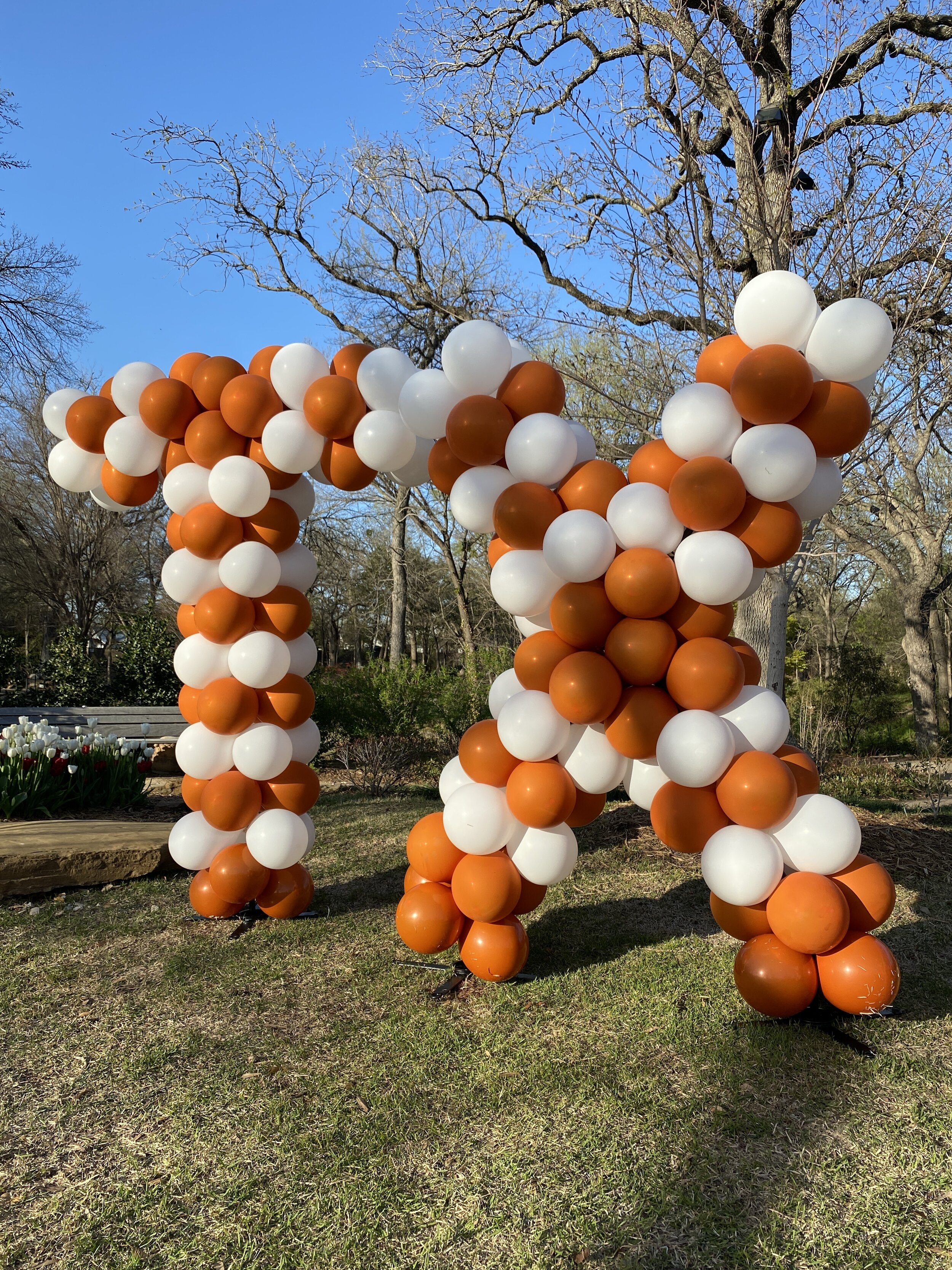  University of Texas balloon letters TX in Southlake, Texas 