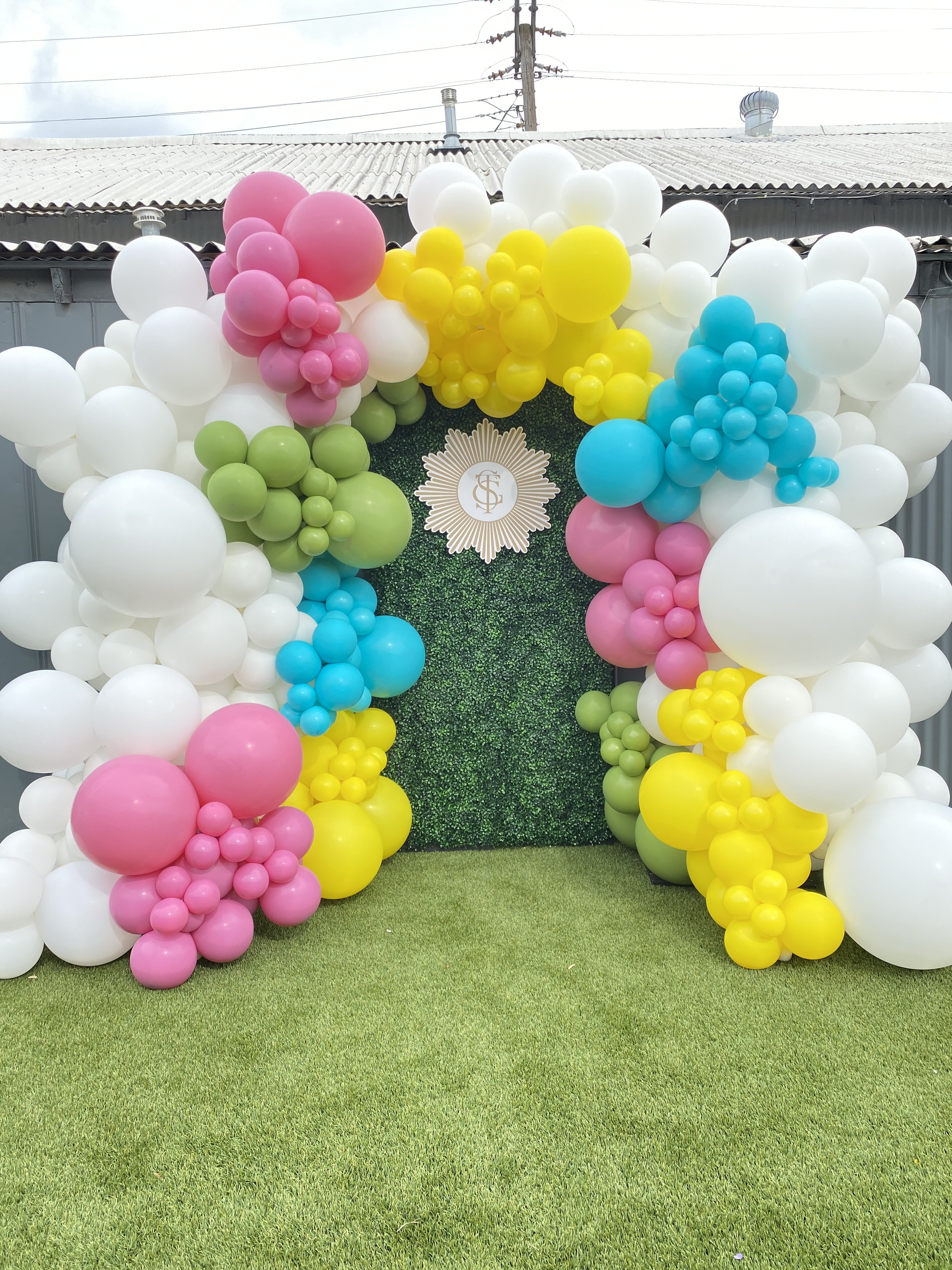 Organic Balloon Arch on Boxwood Backdrop