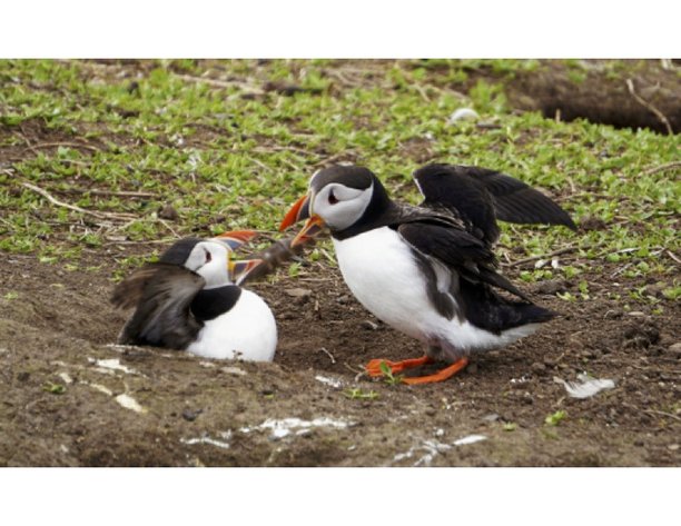 Navigating Difficult Conversations